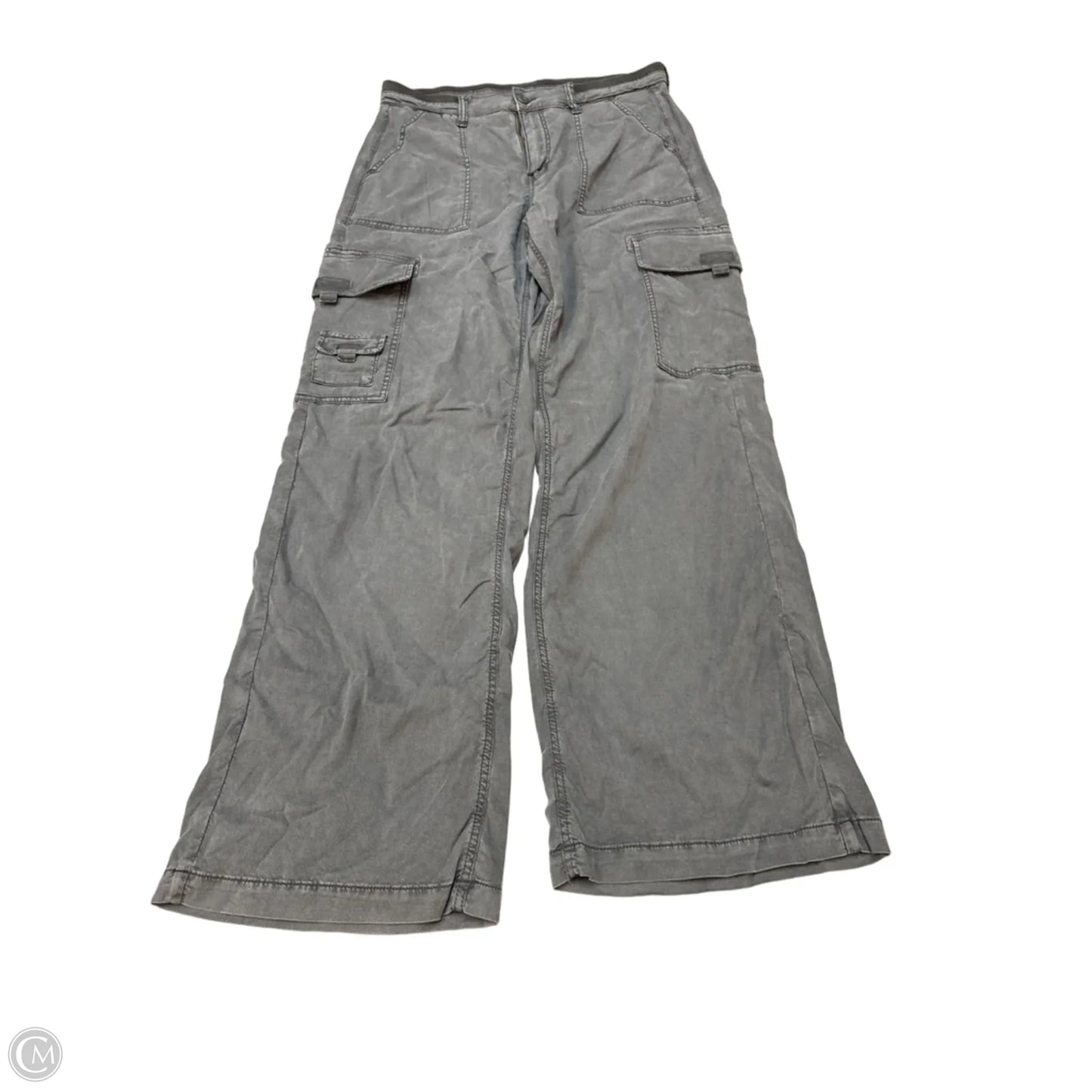 Pants Cargo & Utility By American Eagle In Grey, Size: 10