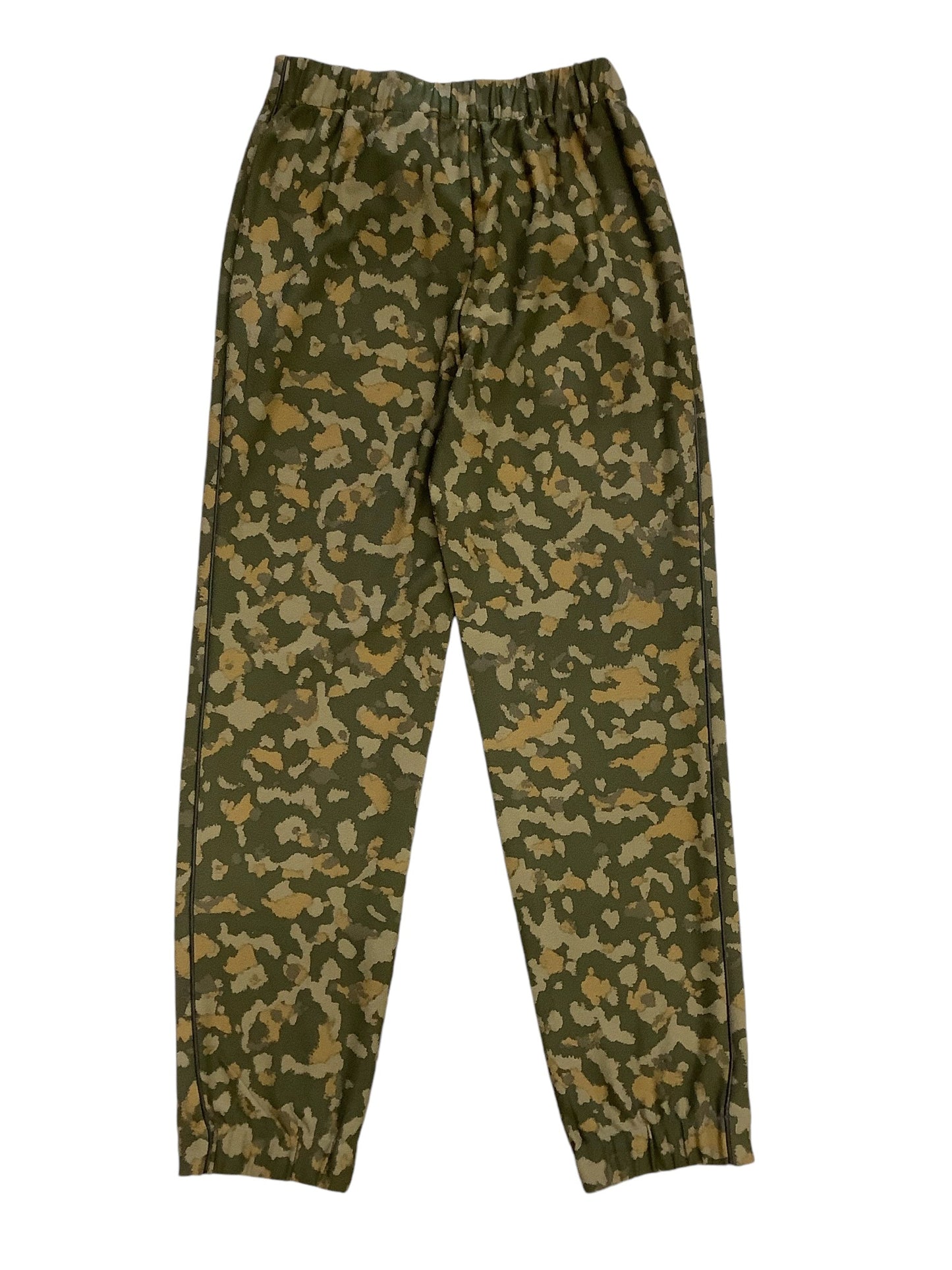 Pants Cargo & Utility By Lysse In Green, Size: Xs