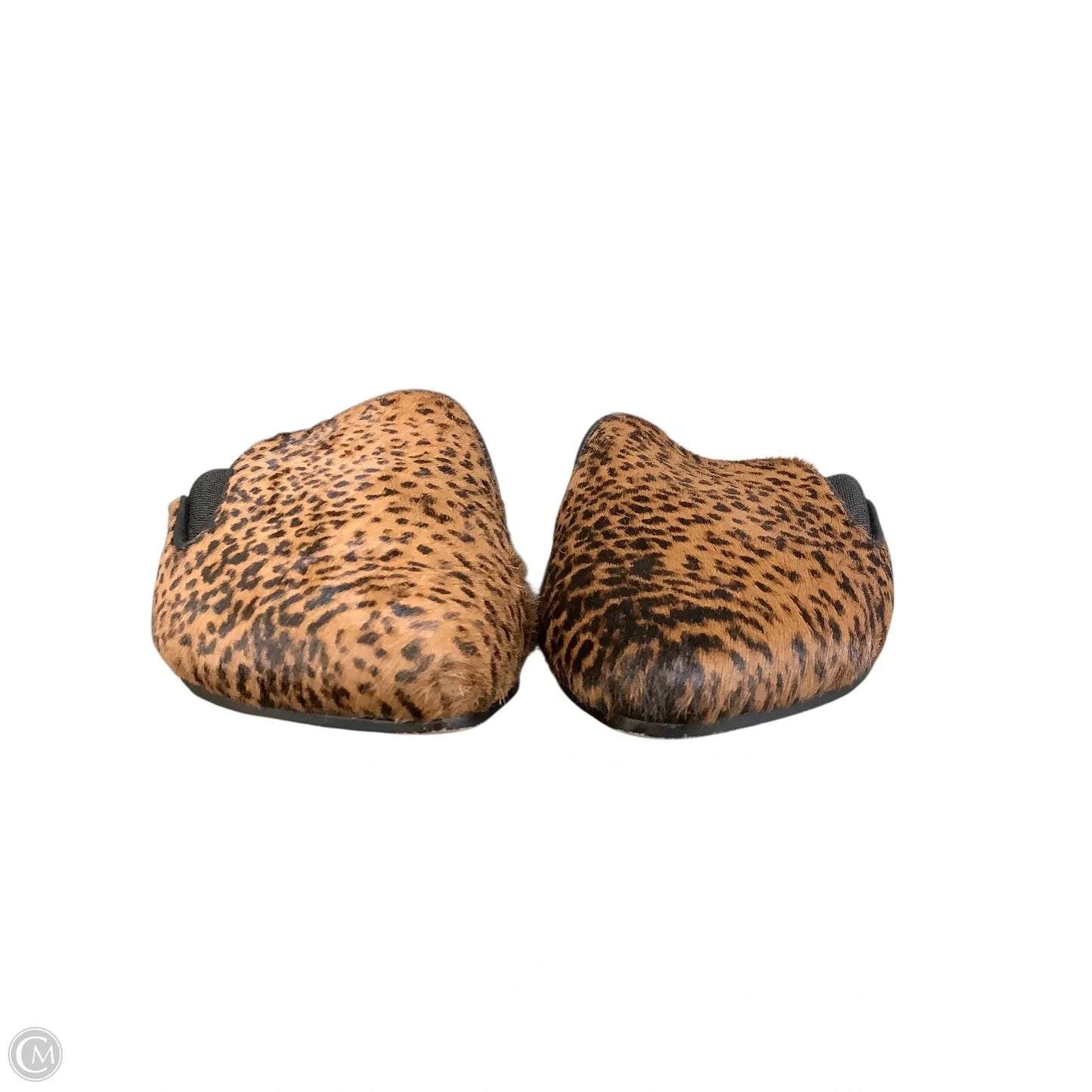 Shoes Flats By Splendid In Animal Print, Size: 7.5