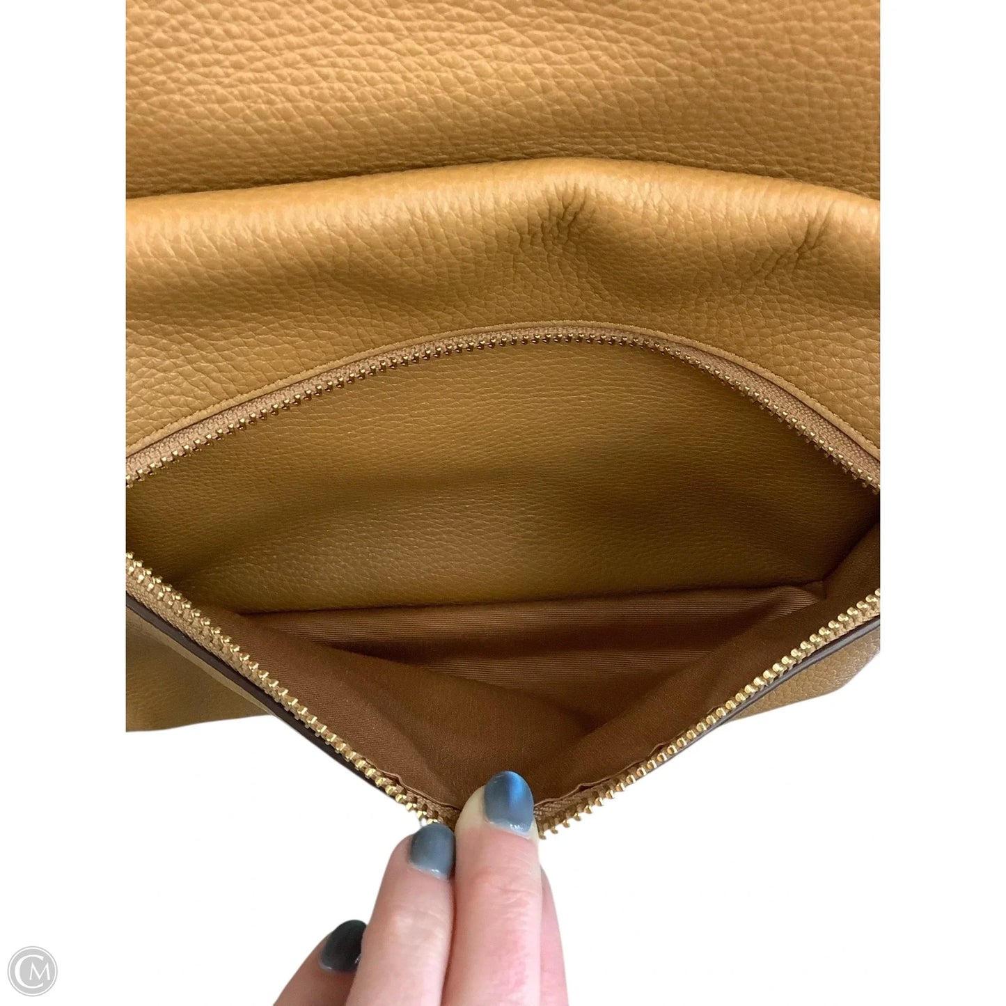 Backpack Designer By Coach, Size: Large