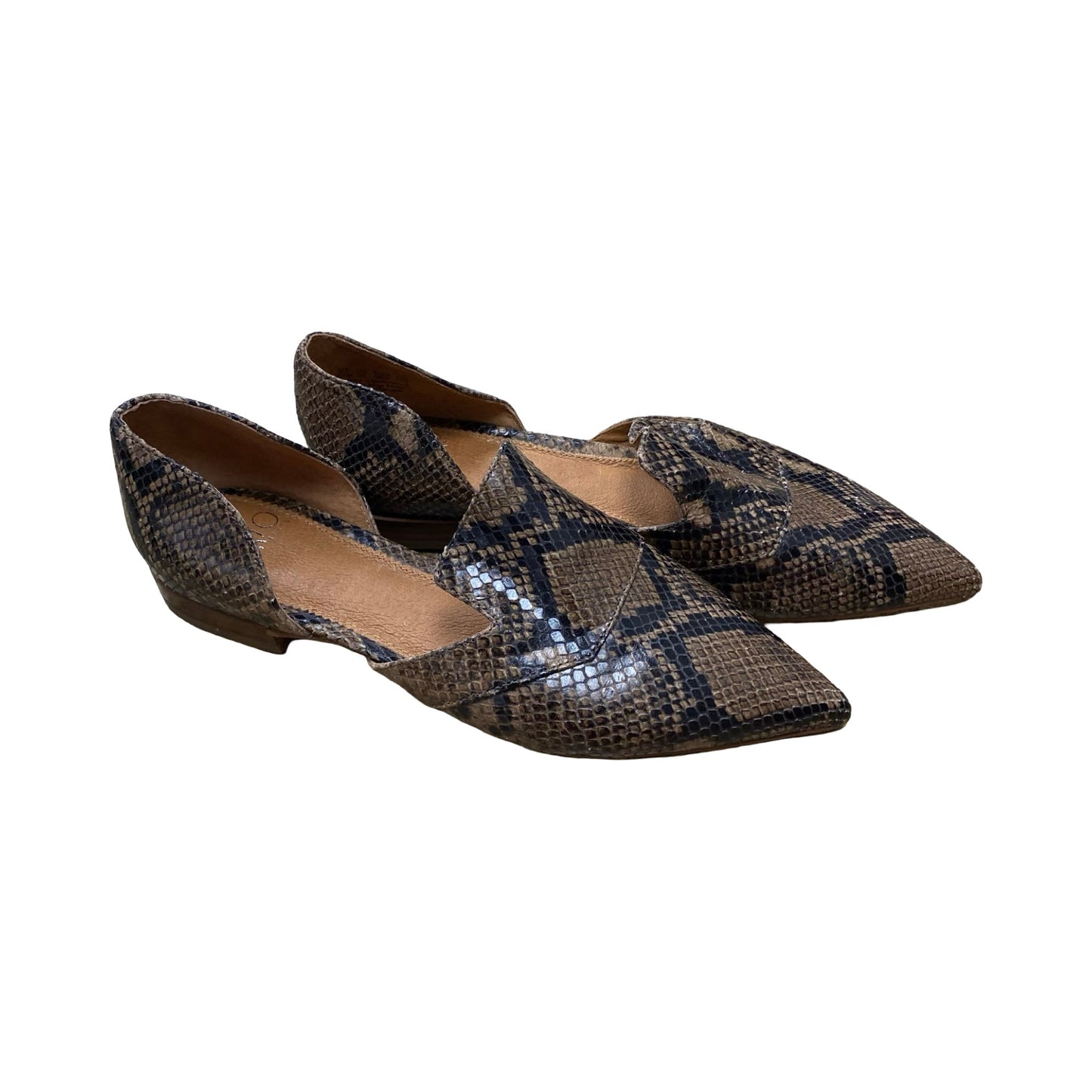 Shoes Flats By Franco Sarto In Snakeskin Print, Size:8.5