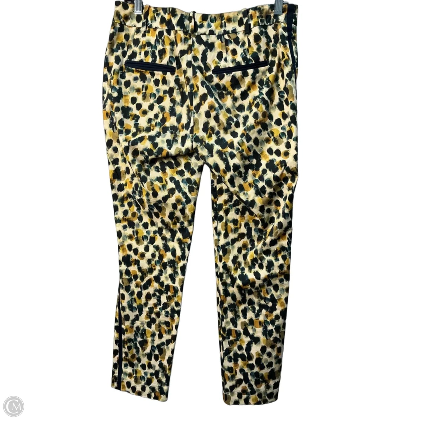 Pants Other By Zara Basic In Blue & Green, Size: S