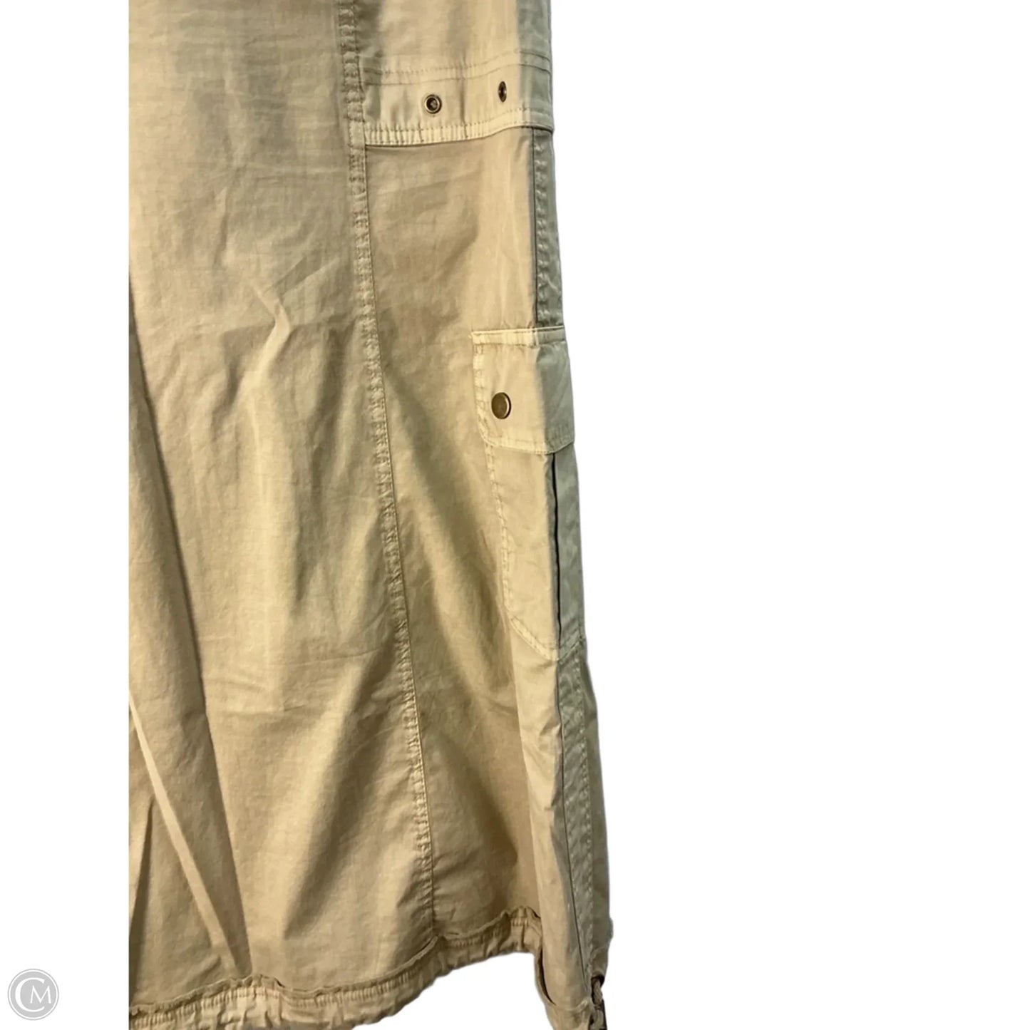 Skirt Maxi By Xcvi In Tan, Size: 2