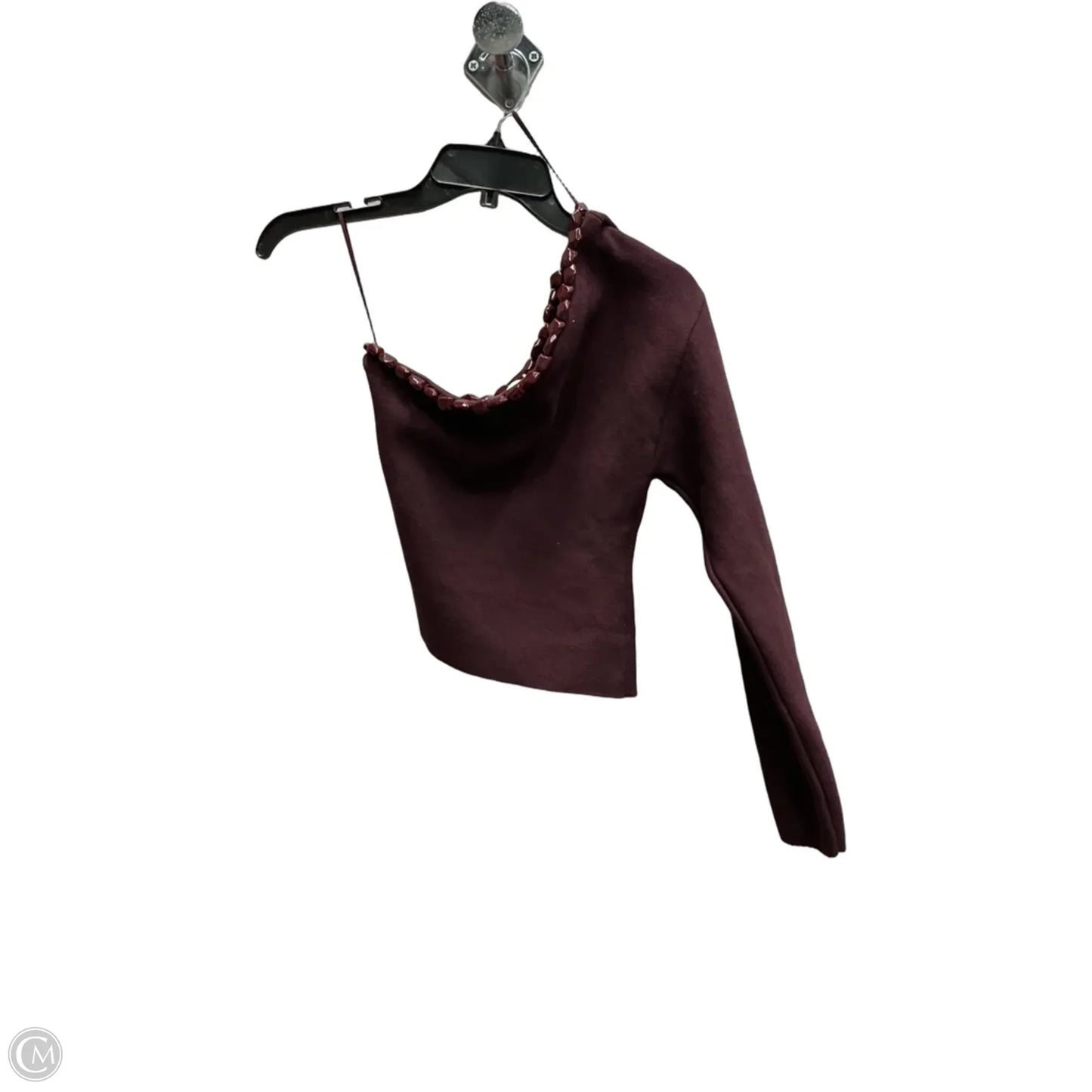Top Long Sleeve By Zara In Maroon, Size: Xs