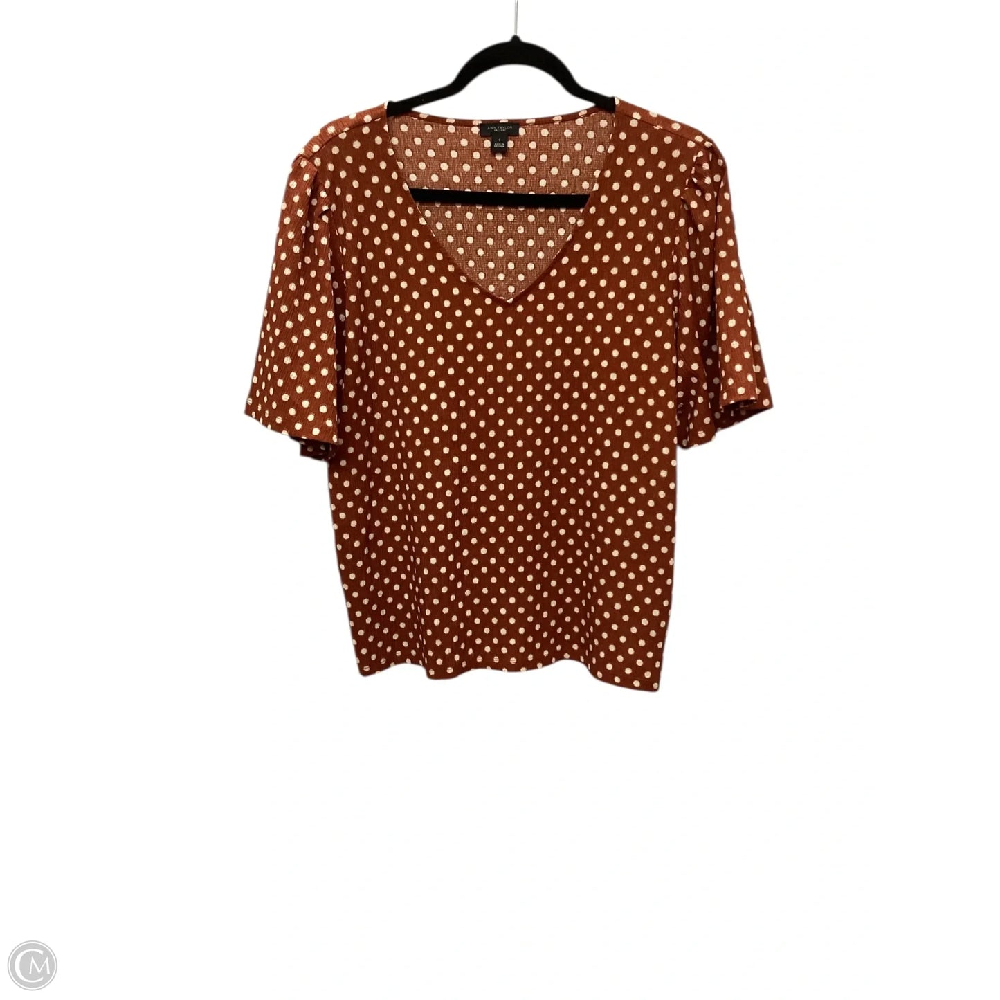Top Short Sleeve By Ann Taylor In Brown, Size: L
