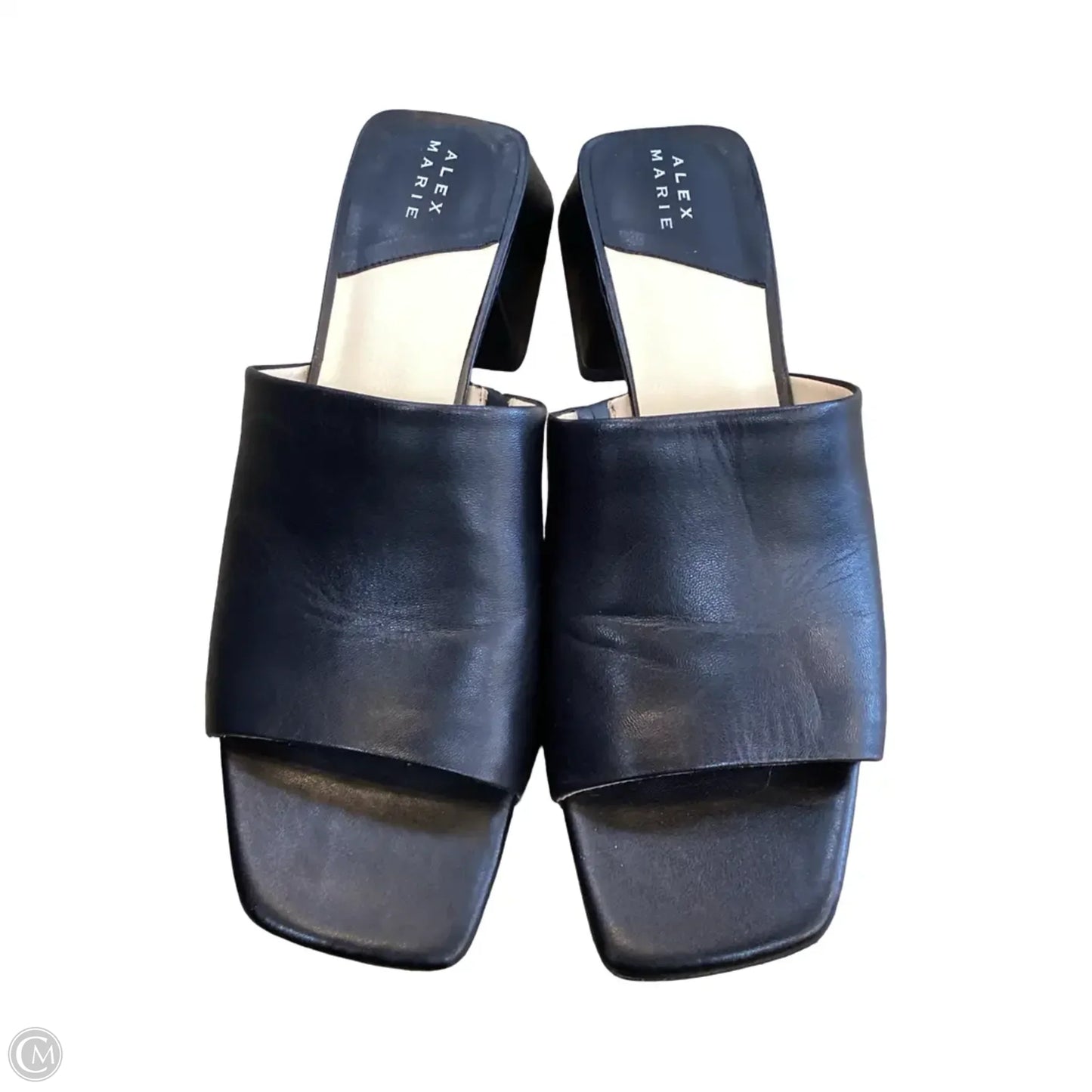 Shoes Heels Block By Alex Marie In Black, Size: 10
