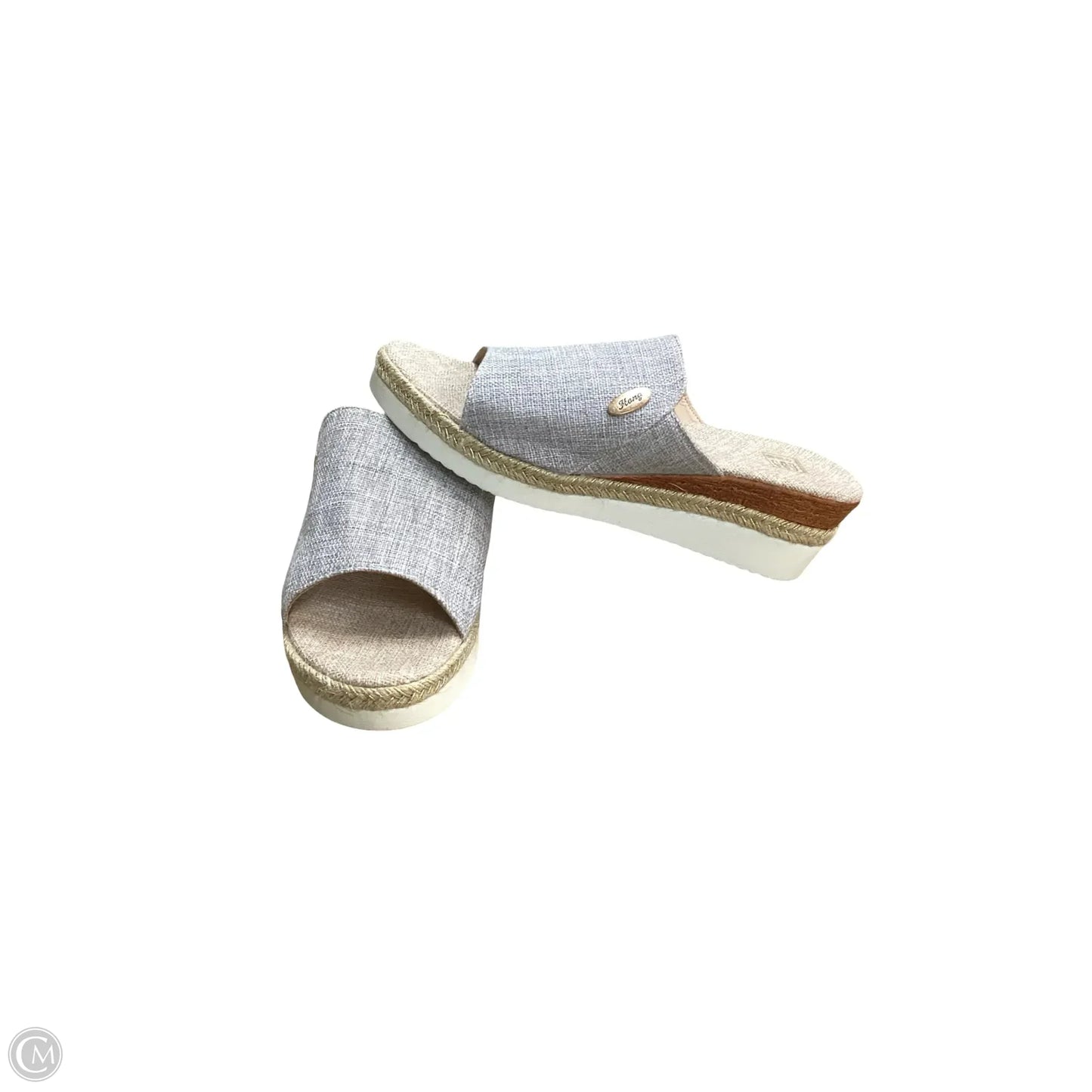 Sandals Heels Wedge By Clothes Mentor In Blue, Size: 9.5