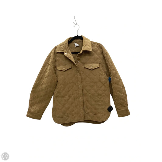 Top 2pc Long Sleeve By Gianni Bini In Brown, Size: M