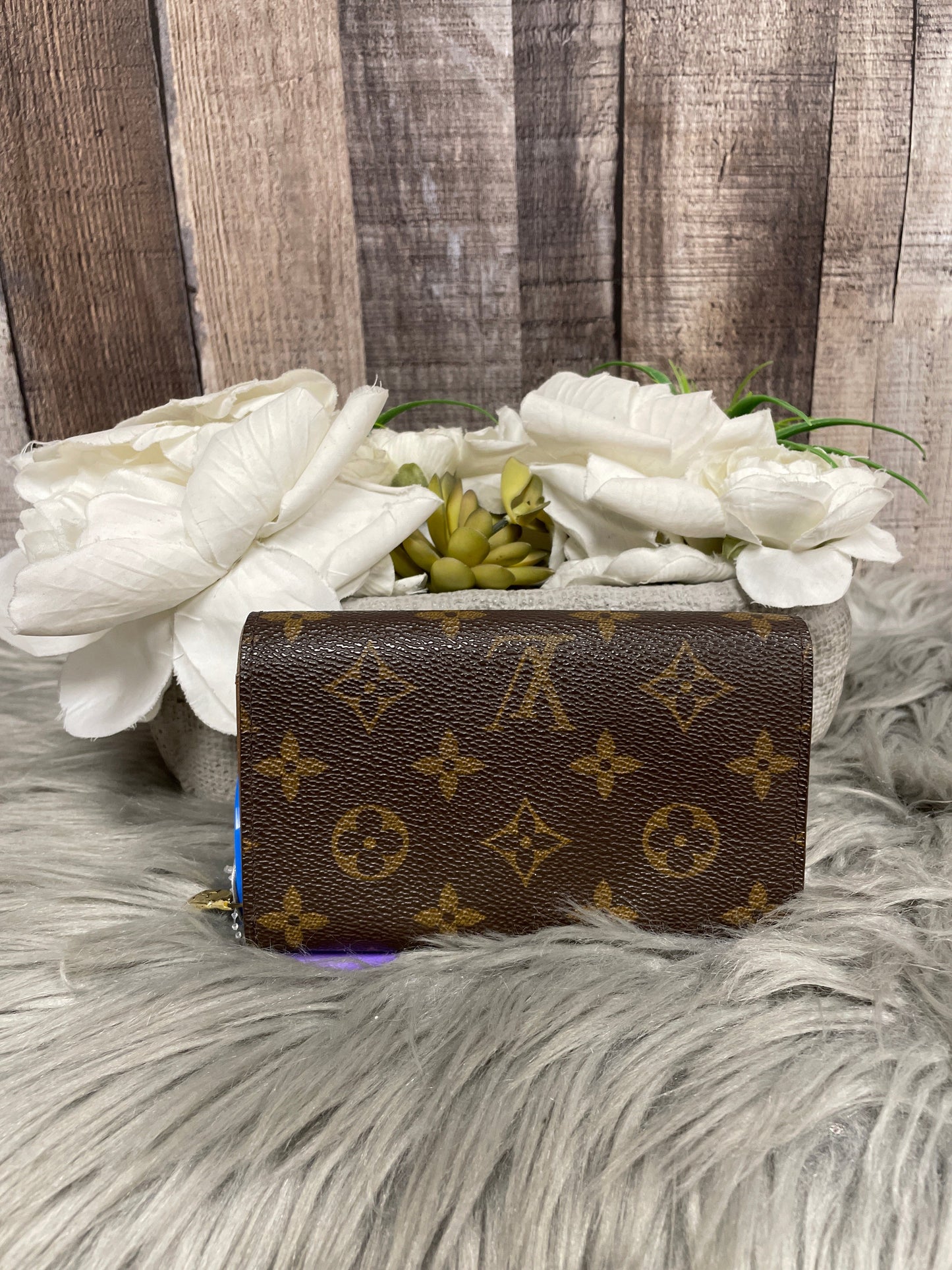 Wallet Luxury Designer Louis Vuitton, Size Small