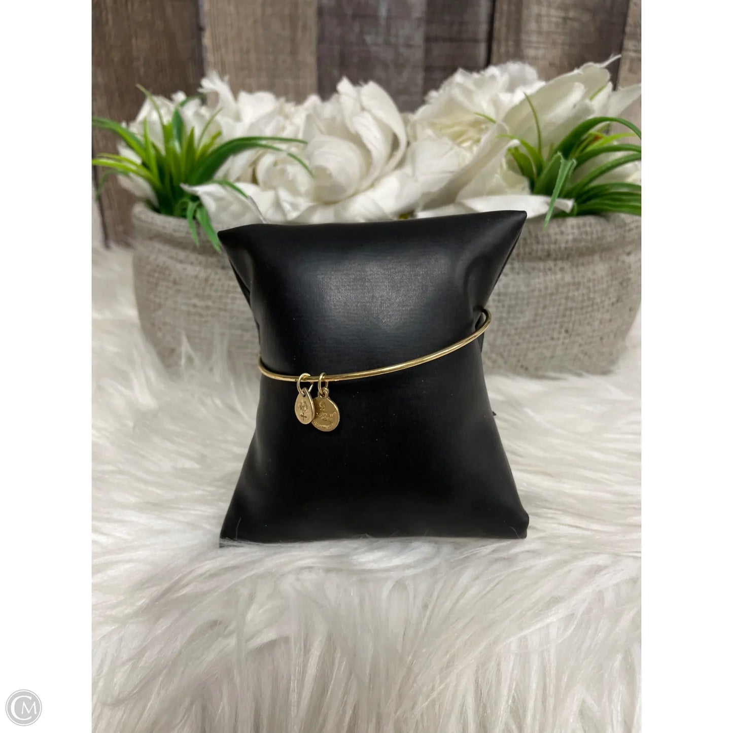 Bracelet Bangle By Alex And Ani