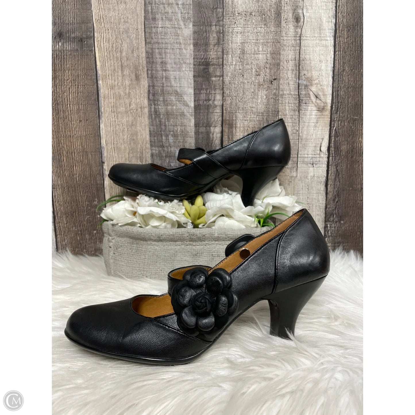 Shoes Heels Block By Sofft In Black, Size: 9.5