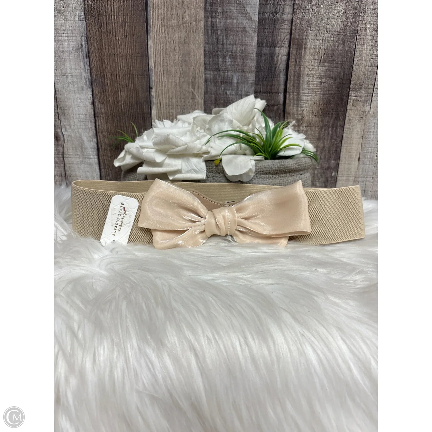 Belt By Altard State, Size: Medium