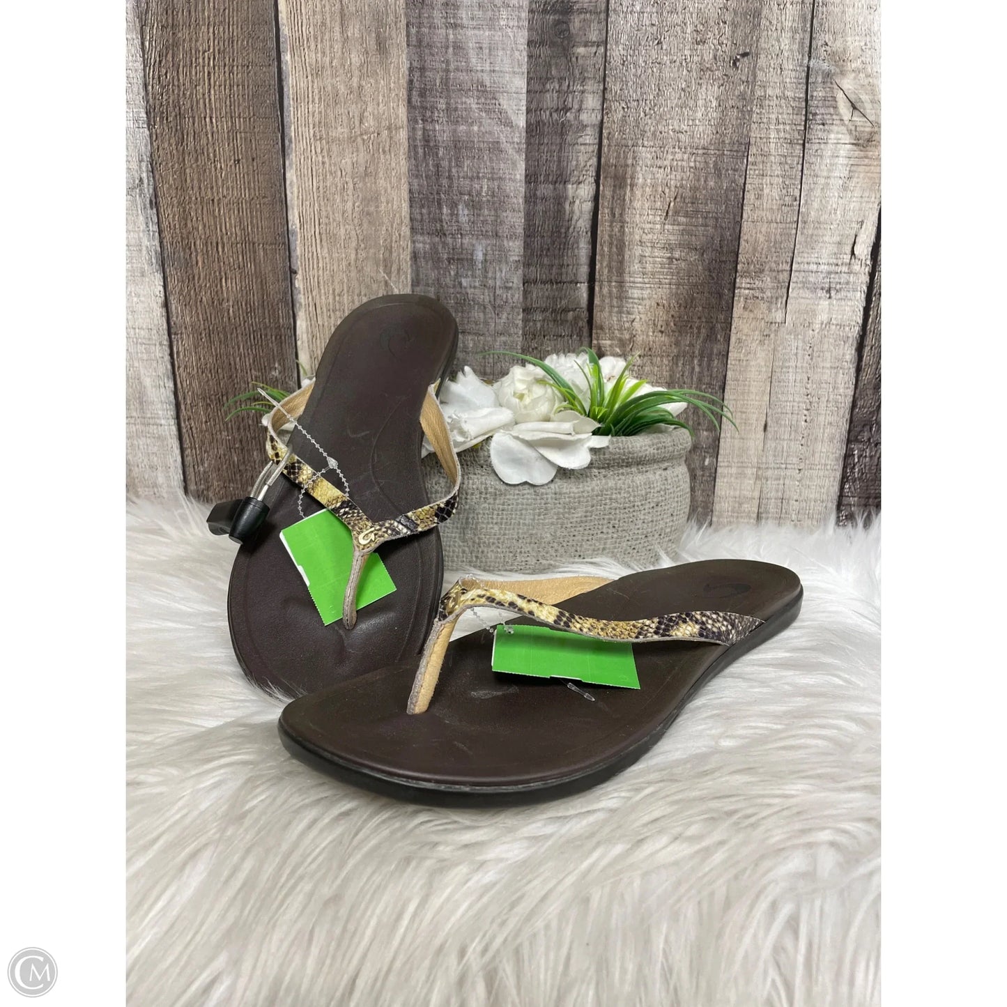 Sandals Flats By Clarks In Green, Size: 8.5