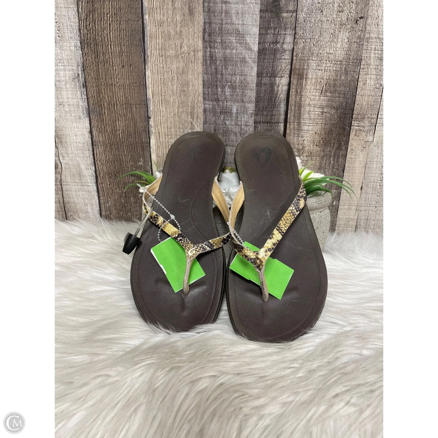 Sandals Flats By Clarks In Green, Size: 8.5