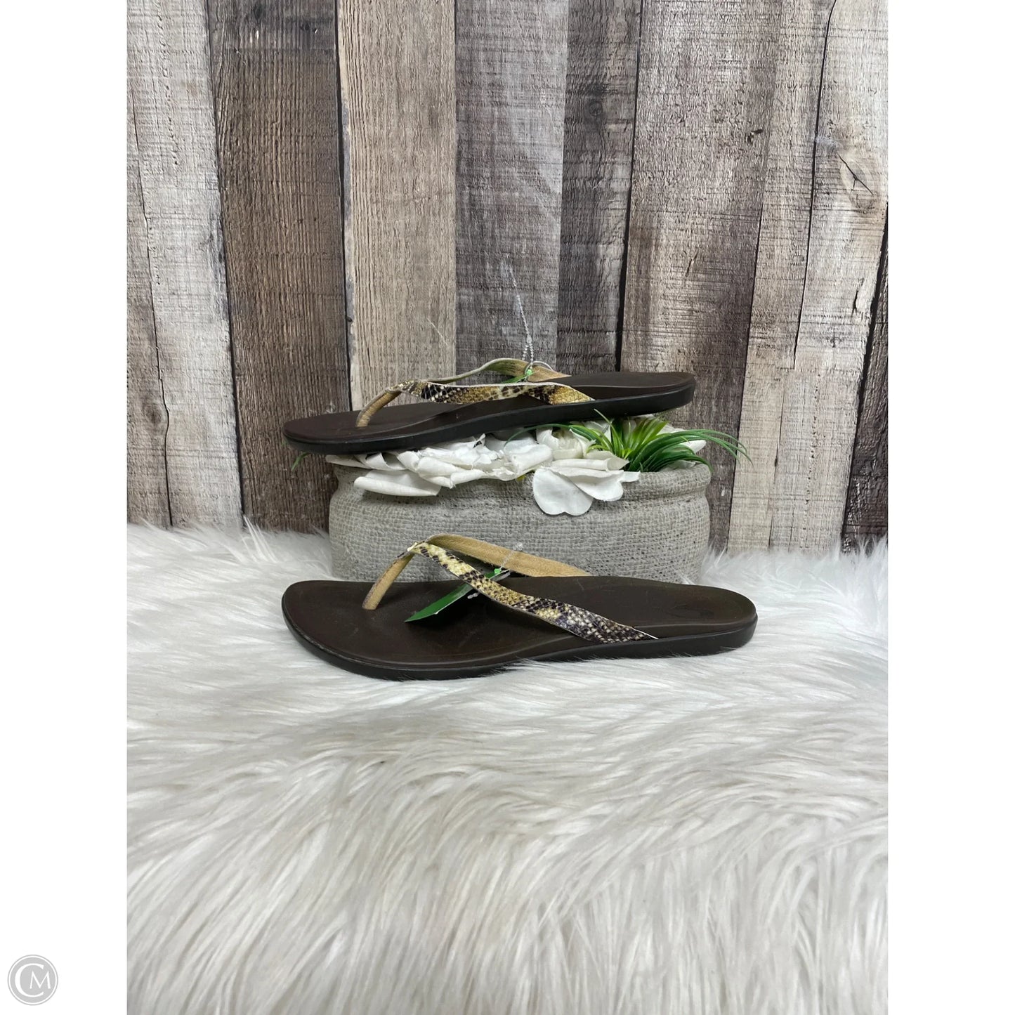 Sandals Flats By Clarks In Green, Size: 8.5
