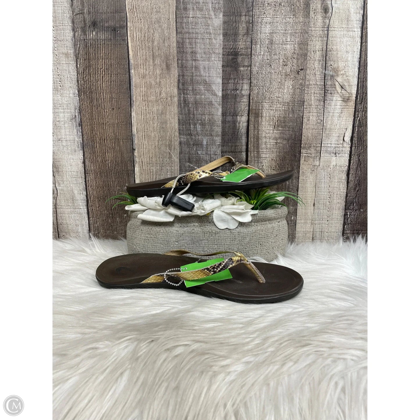 Sandals Flats By Clarks In Green, Size: 8.5