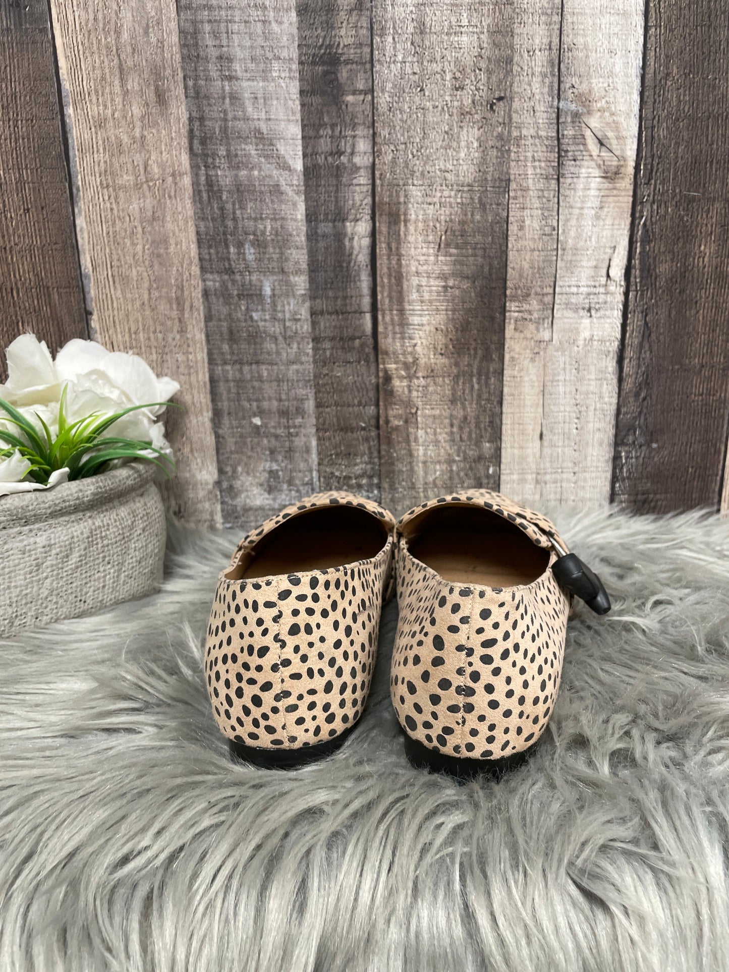 Animal Print Shoes Flats Torrid, Size 8.5