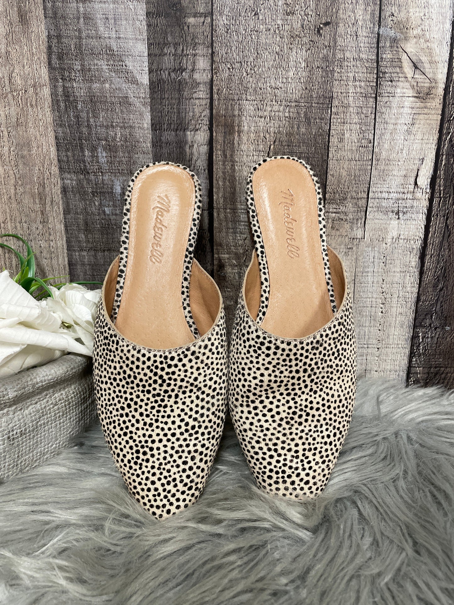 Shoes Flats By Madewell In Animal Print, Size: 5.5