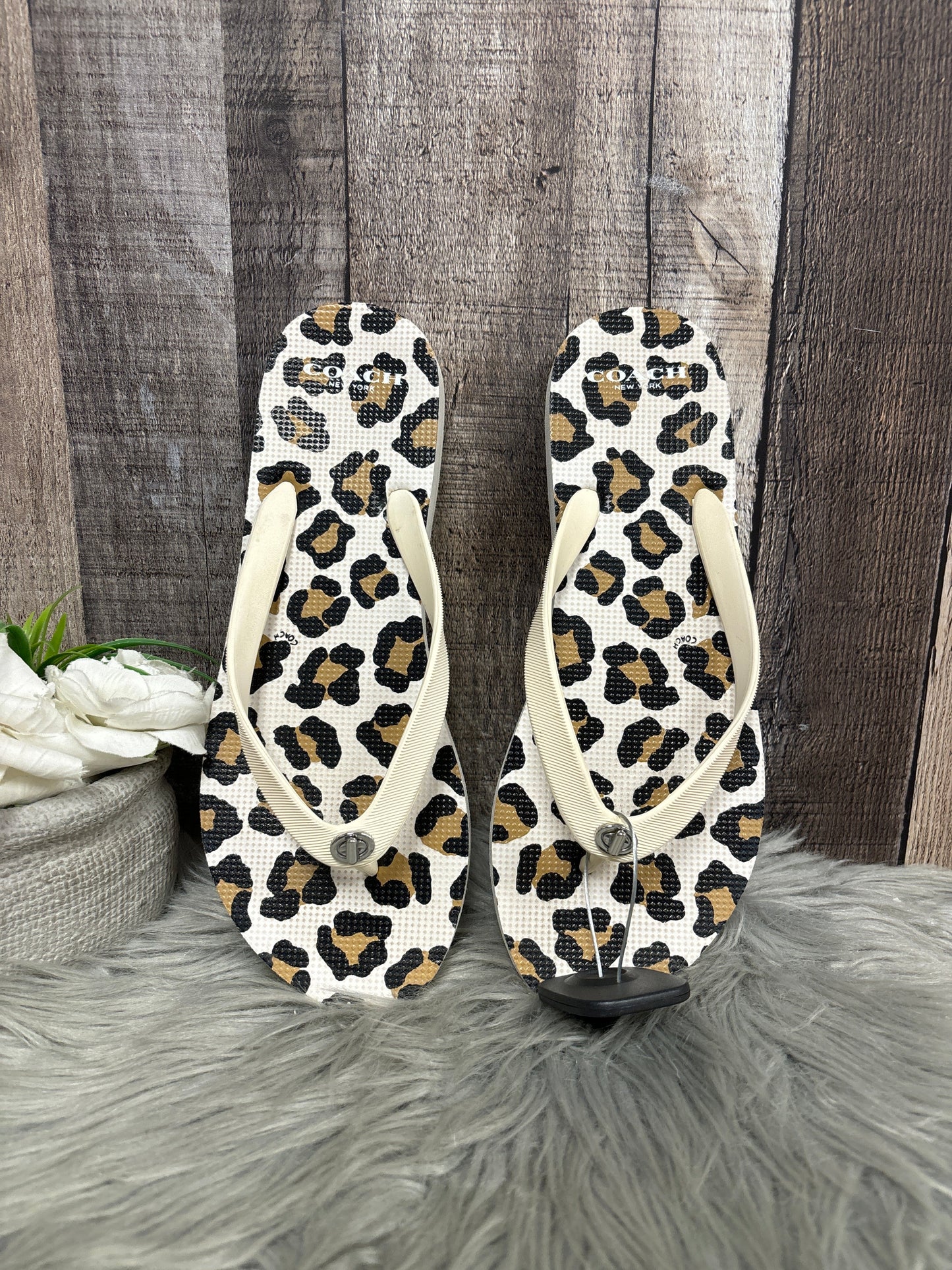 Sandals Flats By Coach In Animal Print, Size: 9