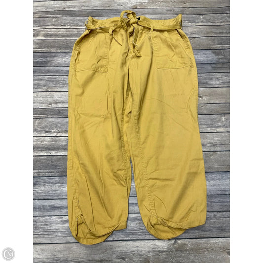 Pants Chinos & Khakis By Cme In Gold, Size: 2x