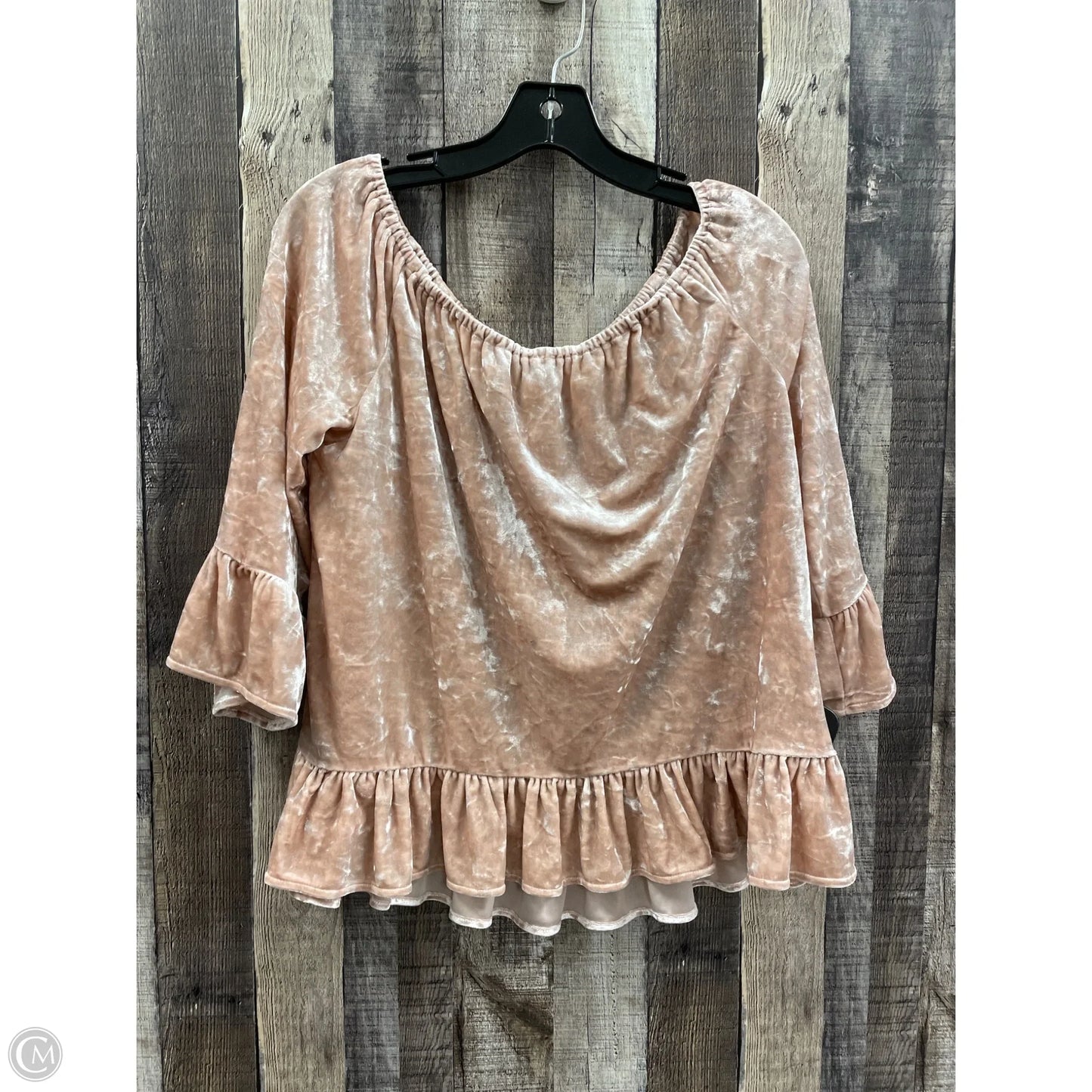 Top Short Sleeve By Sanctuary In Taupe, Size: M