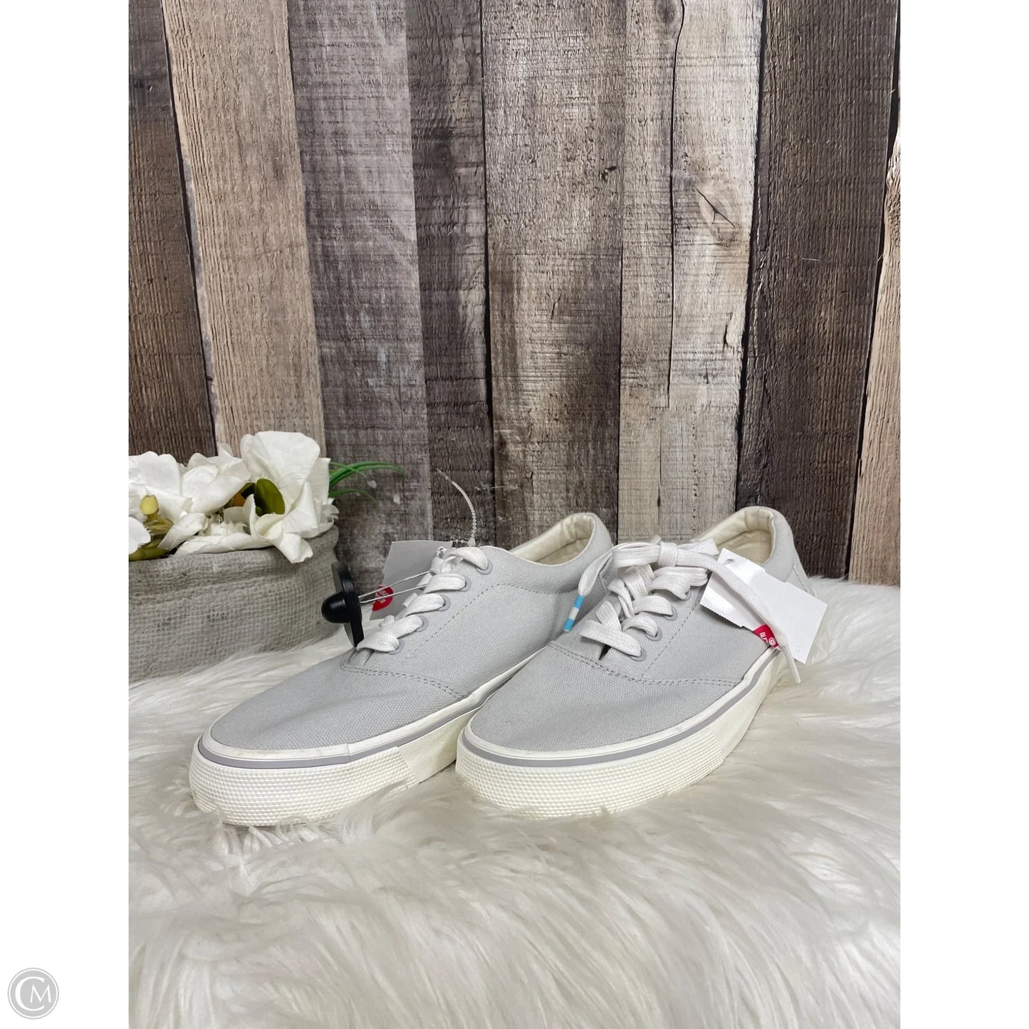 Shoes Sneakers By Toms In Grey, Size: 8.5