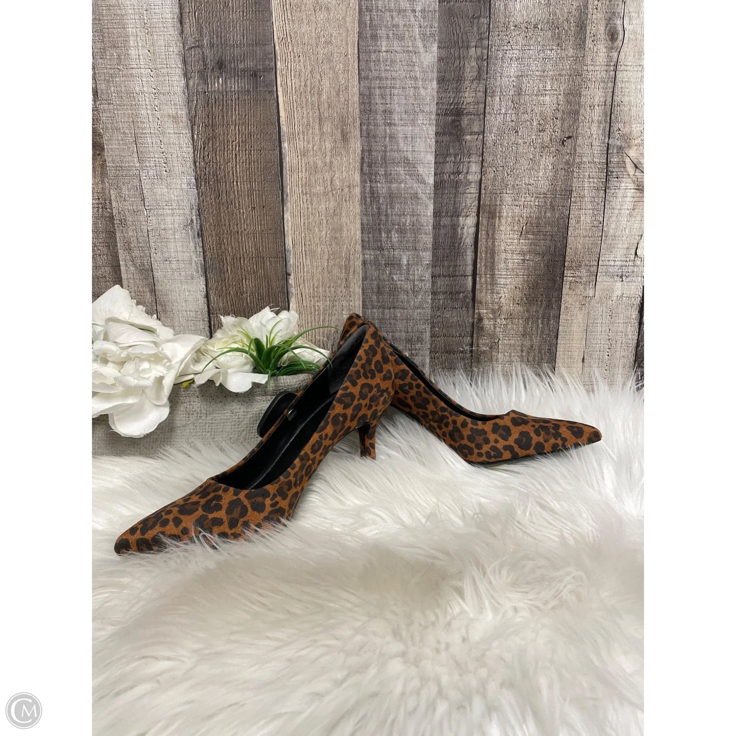 Shoes Heels Stiletto By Nordstrom In Animal Print, Size: 7