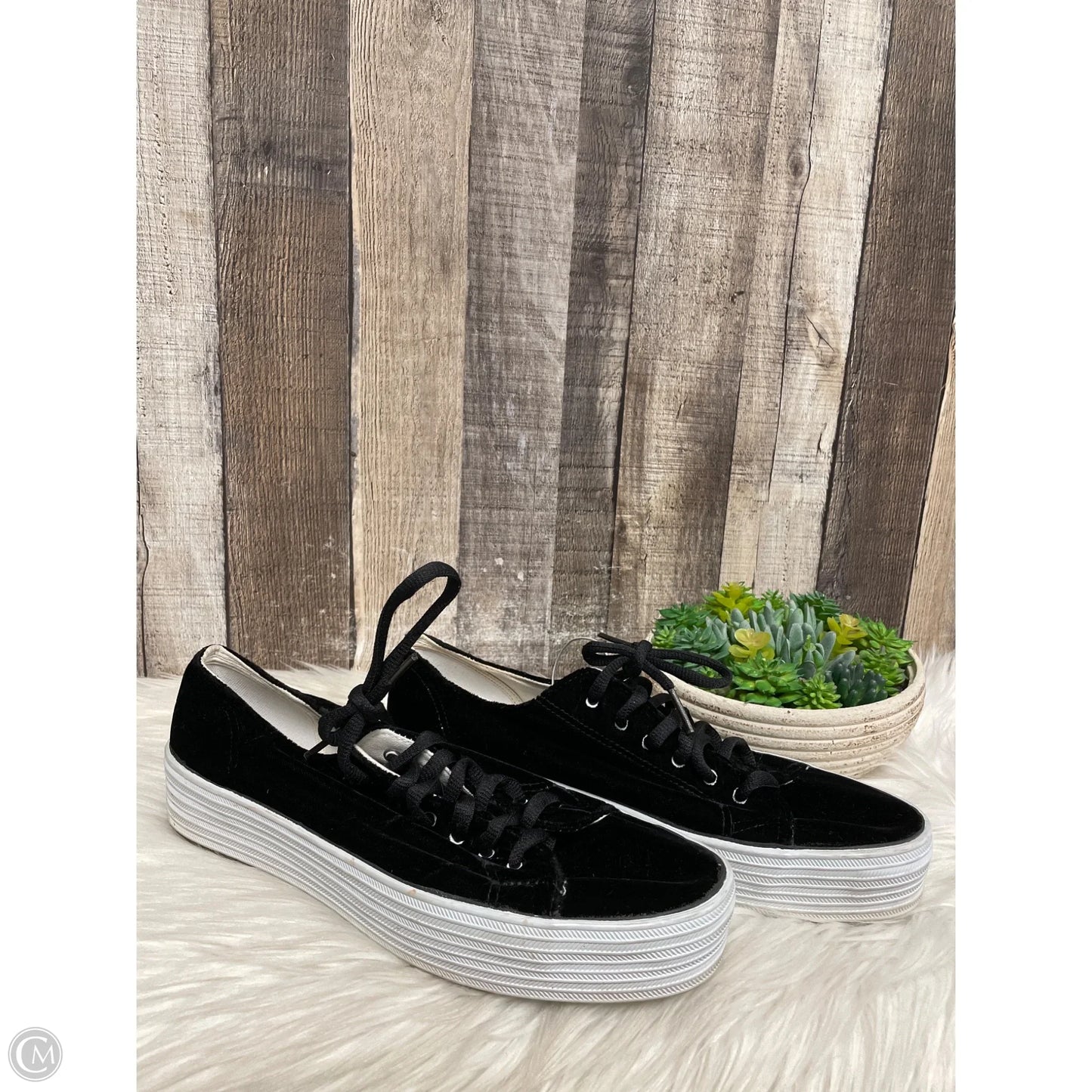 Shoes Sneakers By Keds In Black, Size: 11