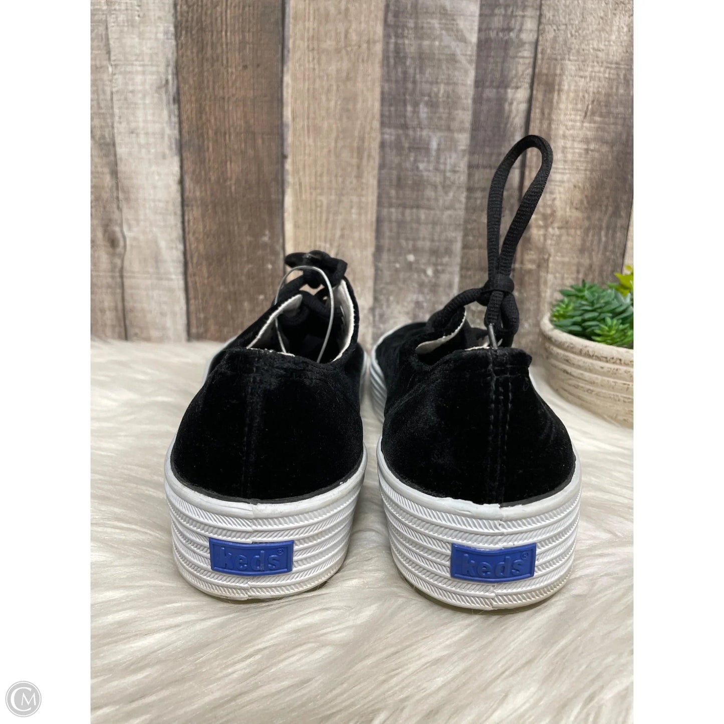 Shoes Sneakers By Keds In Black, Size: 11