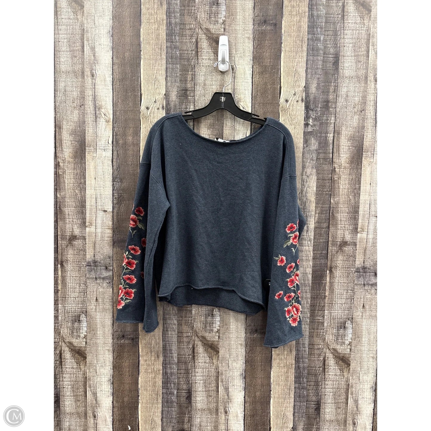 Top Long Sleeve By American Eagle In Blue, Size: L