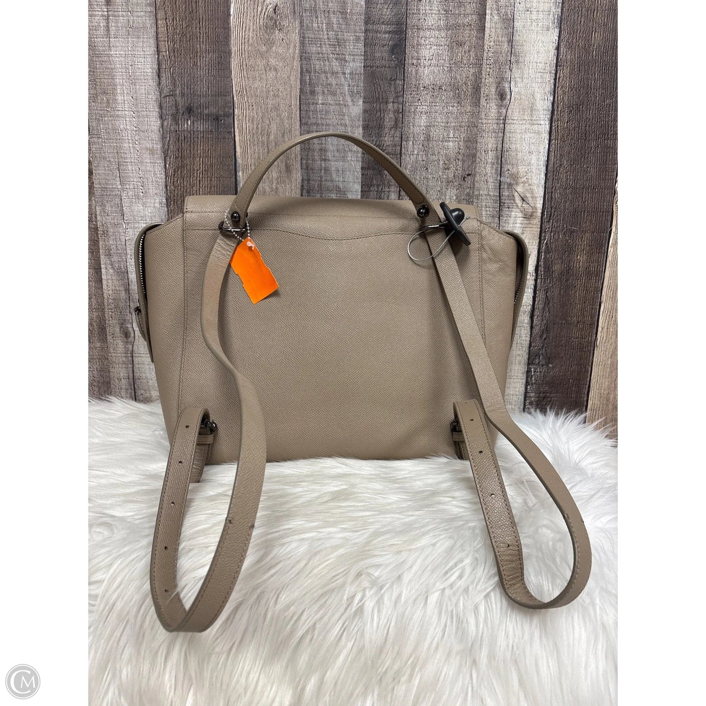 Backpack Designer By Rebecca Minkoff, Size: Large