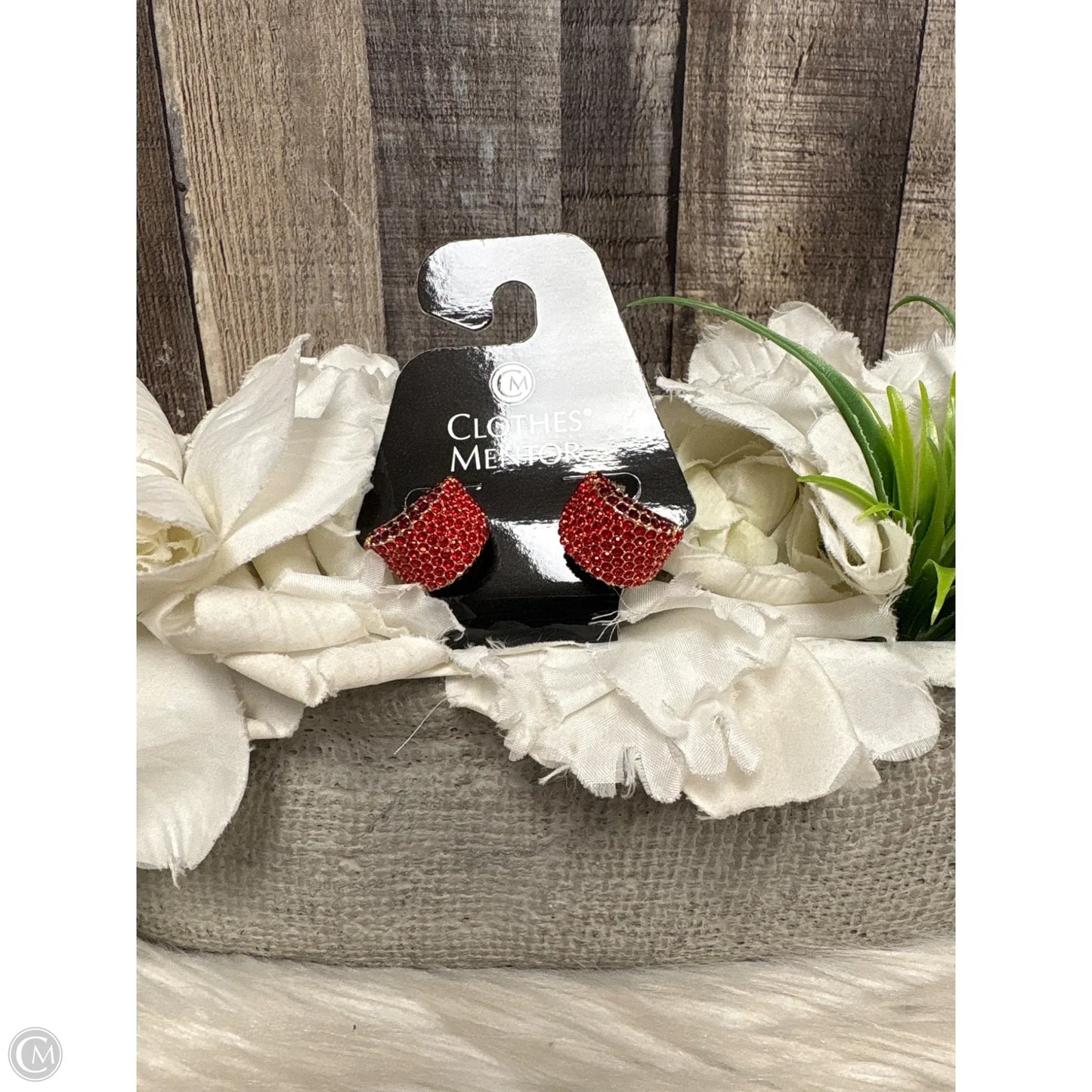 Earrings Hoop By Cmf