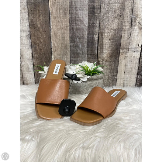 Sandals Flats By Steve Madden In Brown, Size: 7.5
