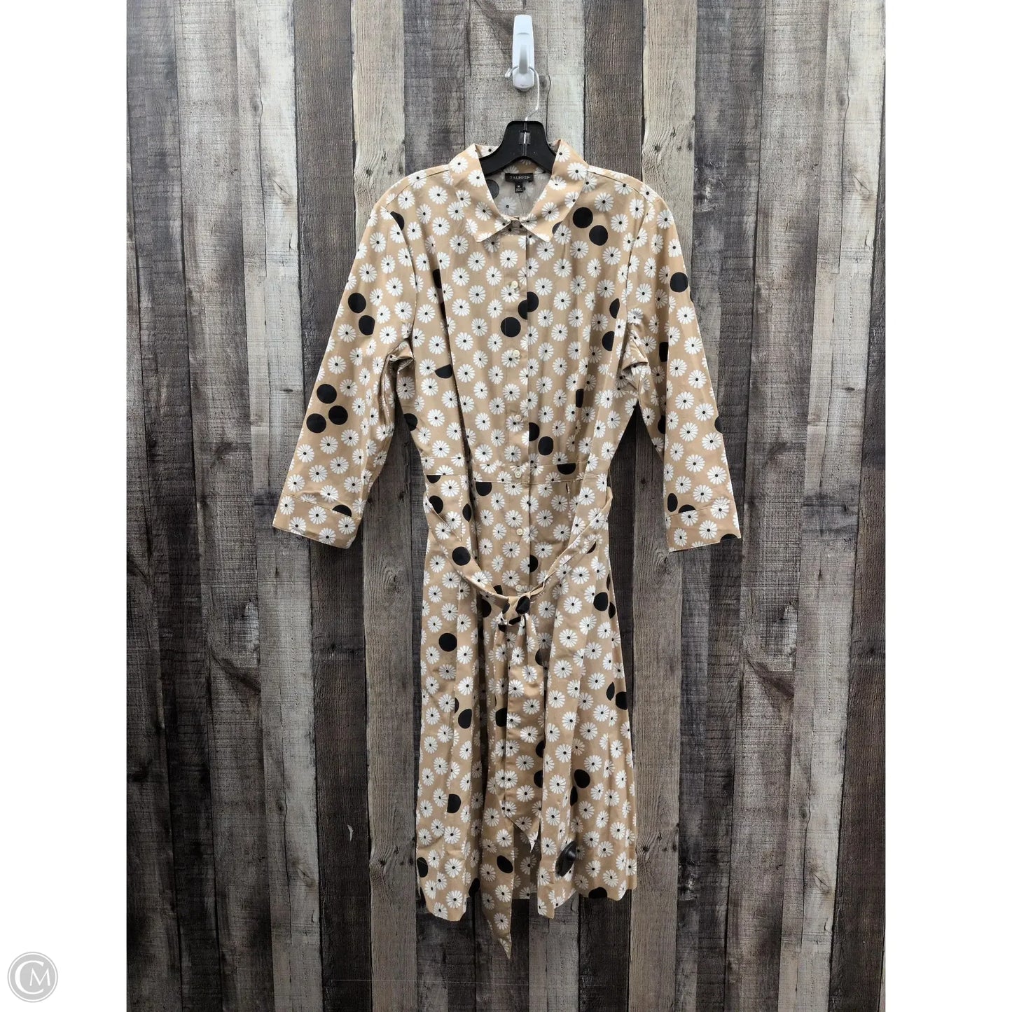 Dress Casual Midi By Talbots In Cream & White, Size: M