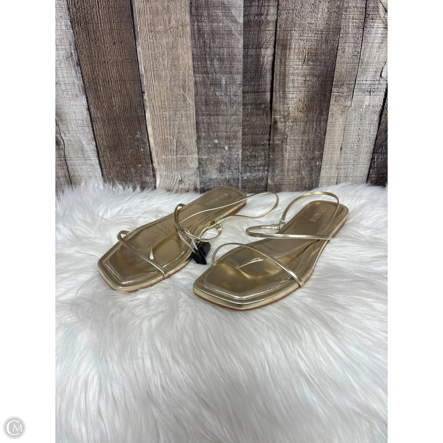 Sandals Flats By Steve Madden In Gold, Size: 9