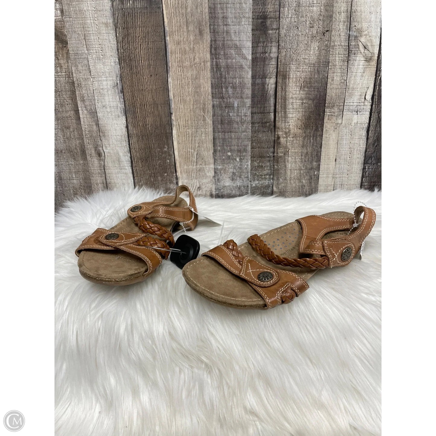 Sandals Flats By Earth Origins In Brown, Size: 8.5