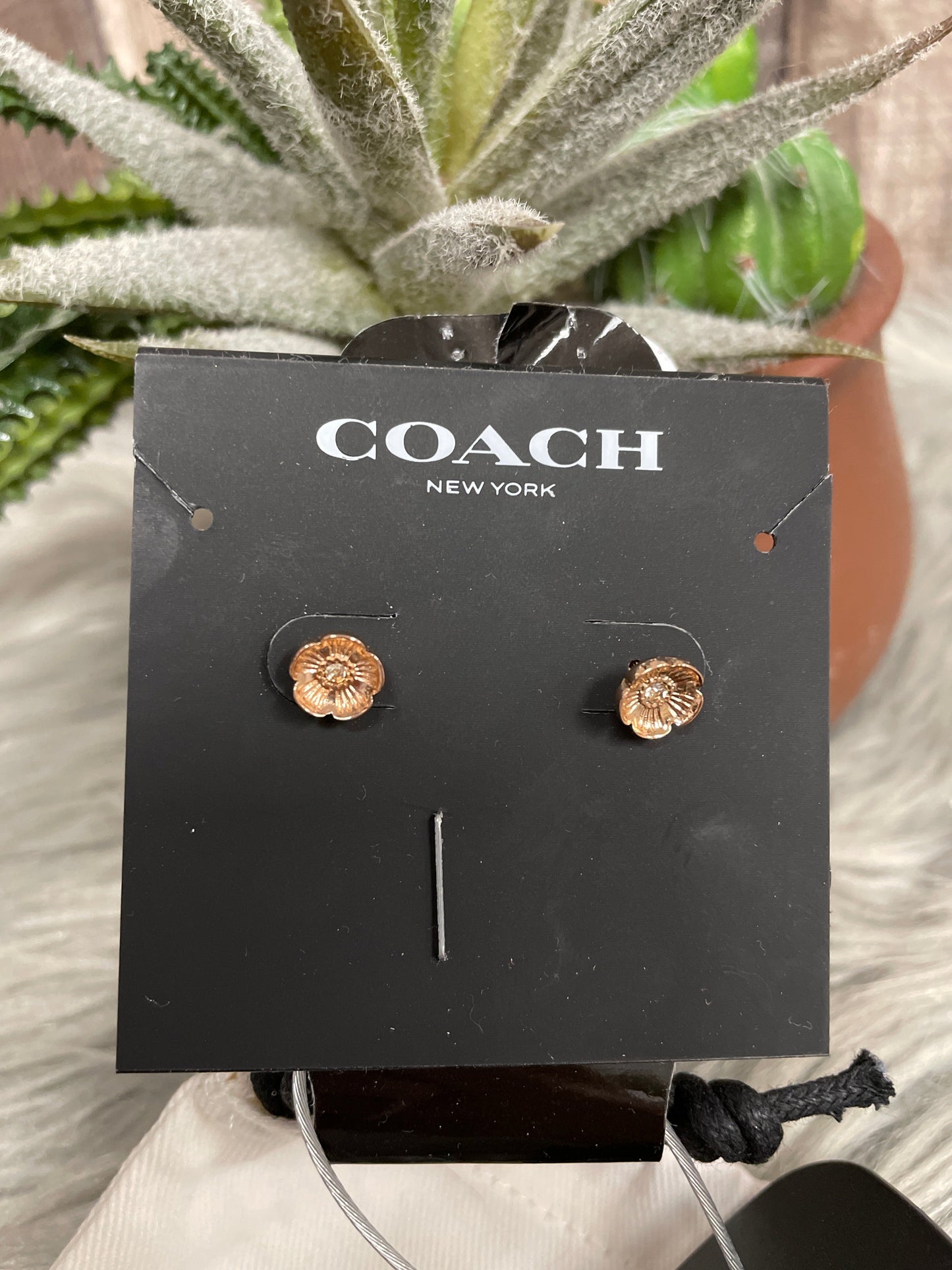 Earrings Designer Coach