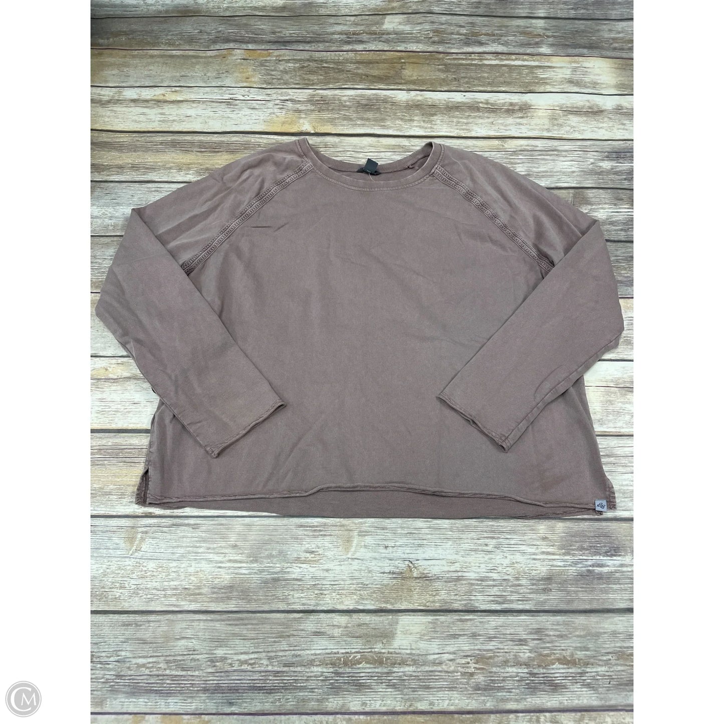 Top Long Sleeve By Eddie Bauer In Brown, Size: 2x