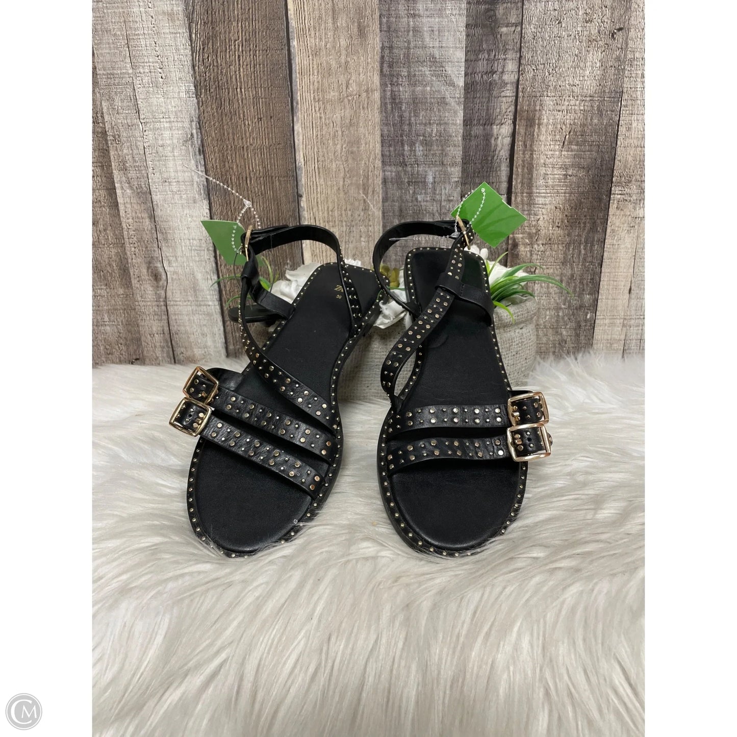 Sandals Flats By Zara In Black, Size: 8