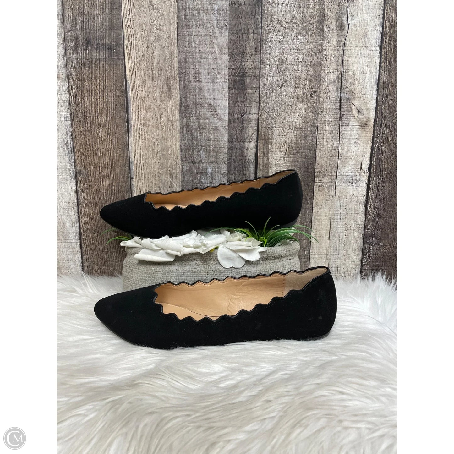 Shoes Flats By Xappeal In Black, Size: 10