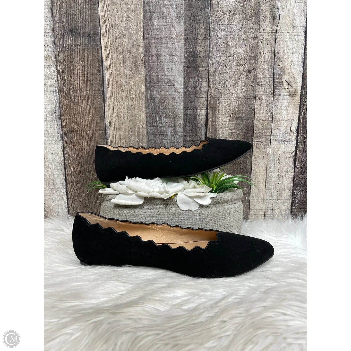 Shoes Flats By Xappeal In Black, Size: 10