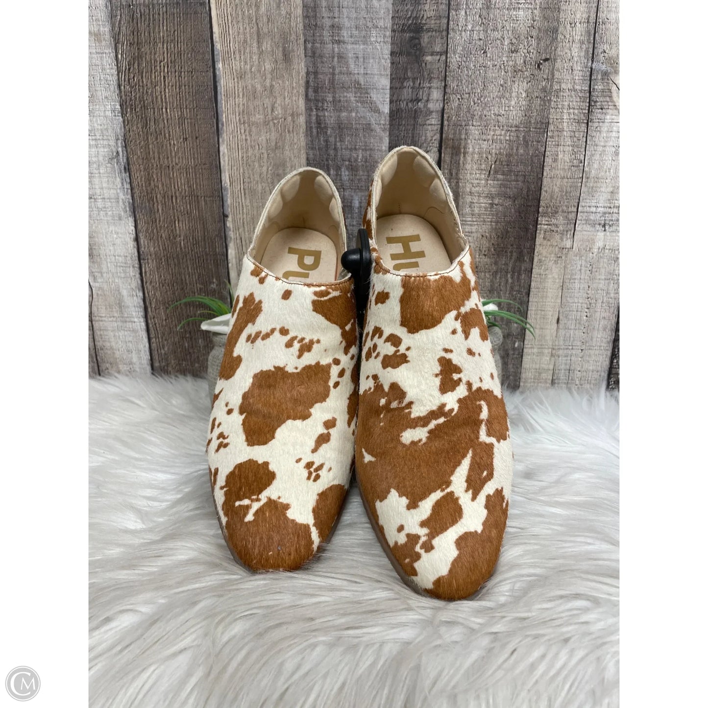 Boots Ankle Heels By Hush Puppies In Animal Print, Size: 9.5