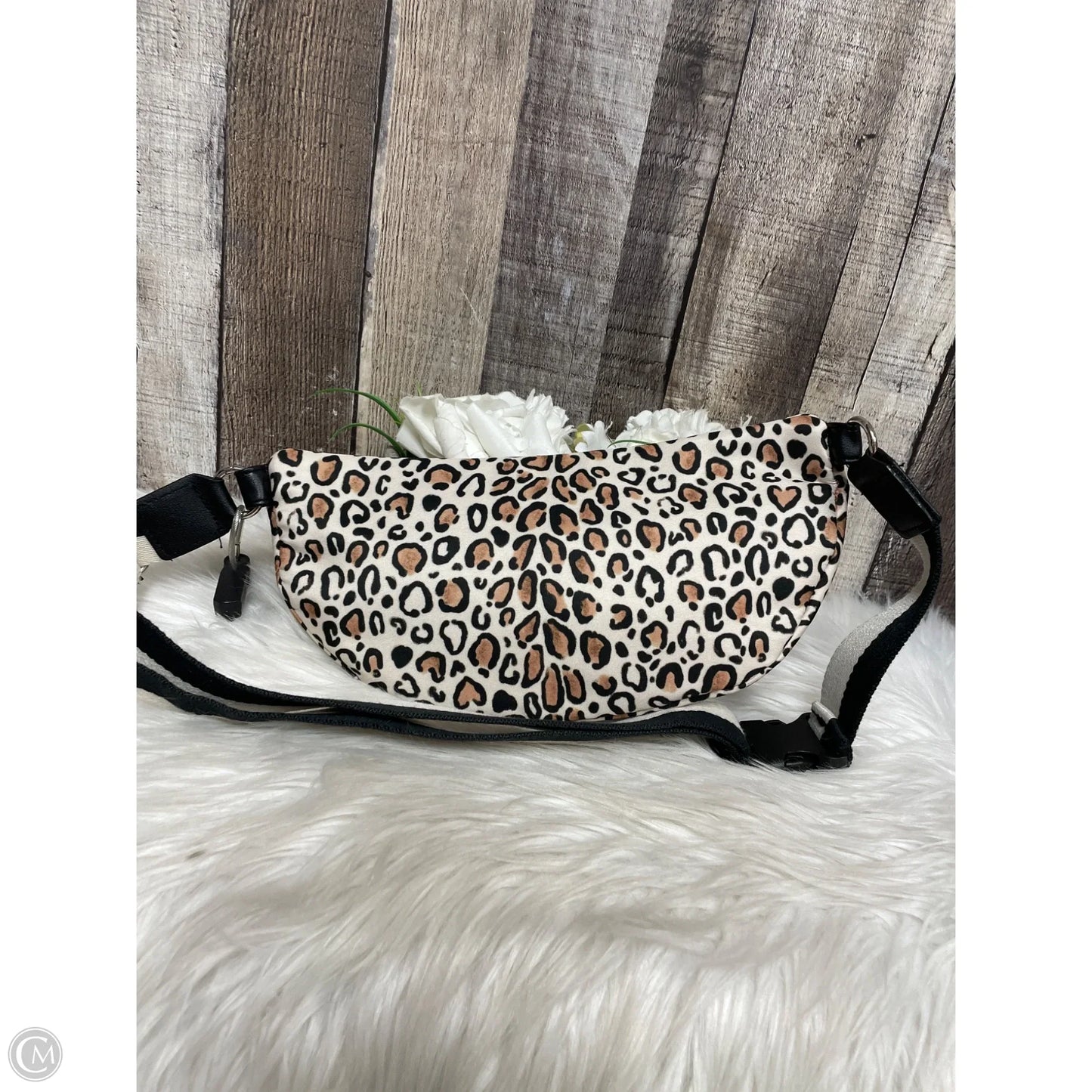 Belt Bag By Brighton, Size: Small
