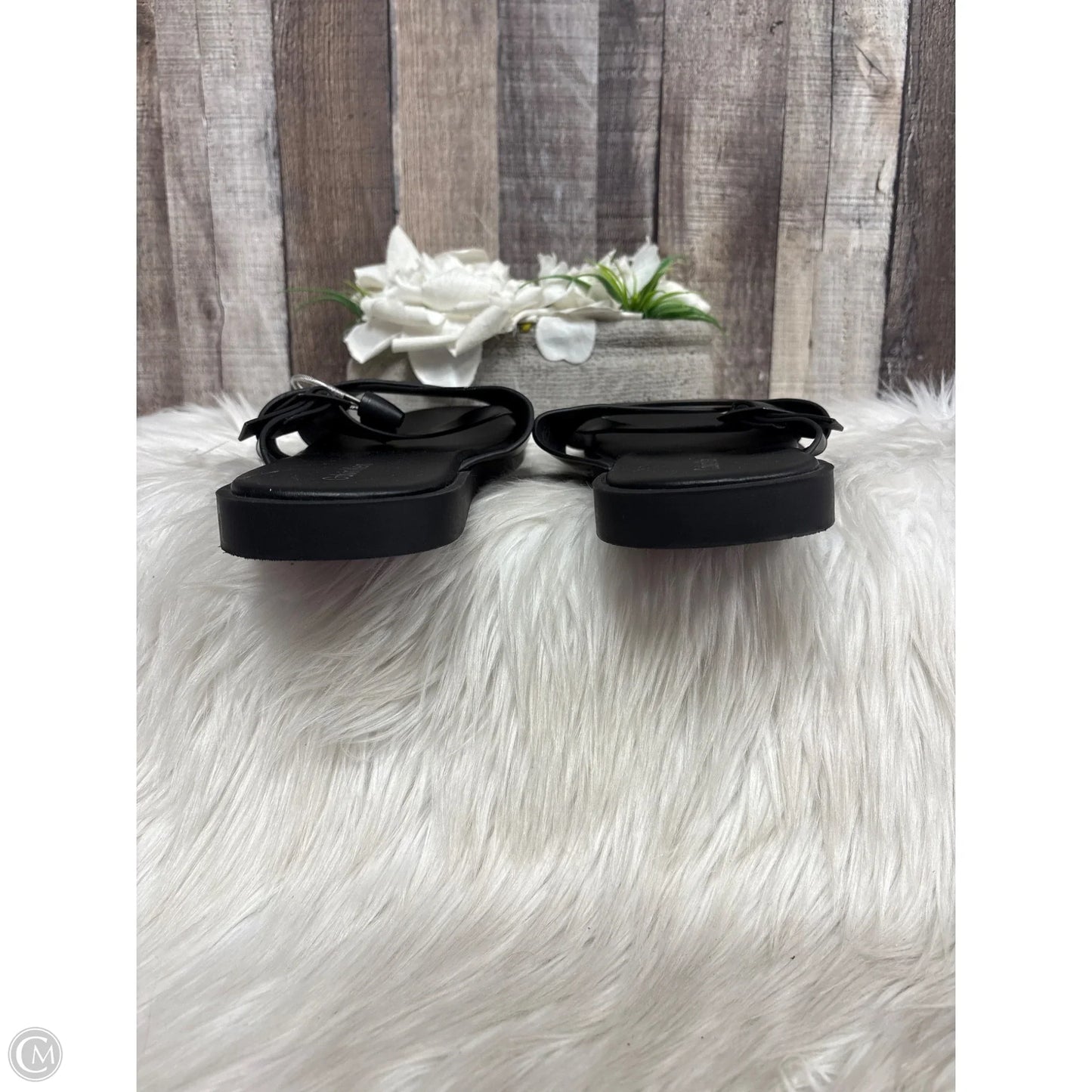 Sandals Flip Flops By Calvin Klein In Black, Size: 10