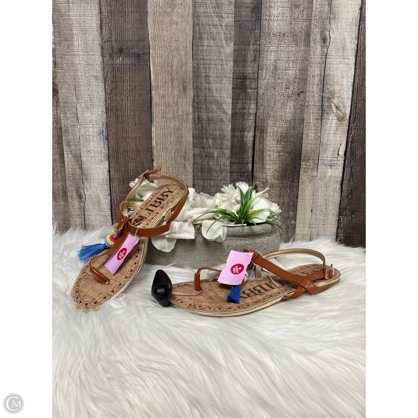 Sandals Flats By Sam And Libby In Brown, Size: 8.5
