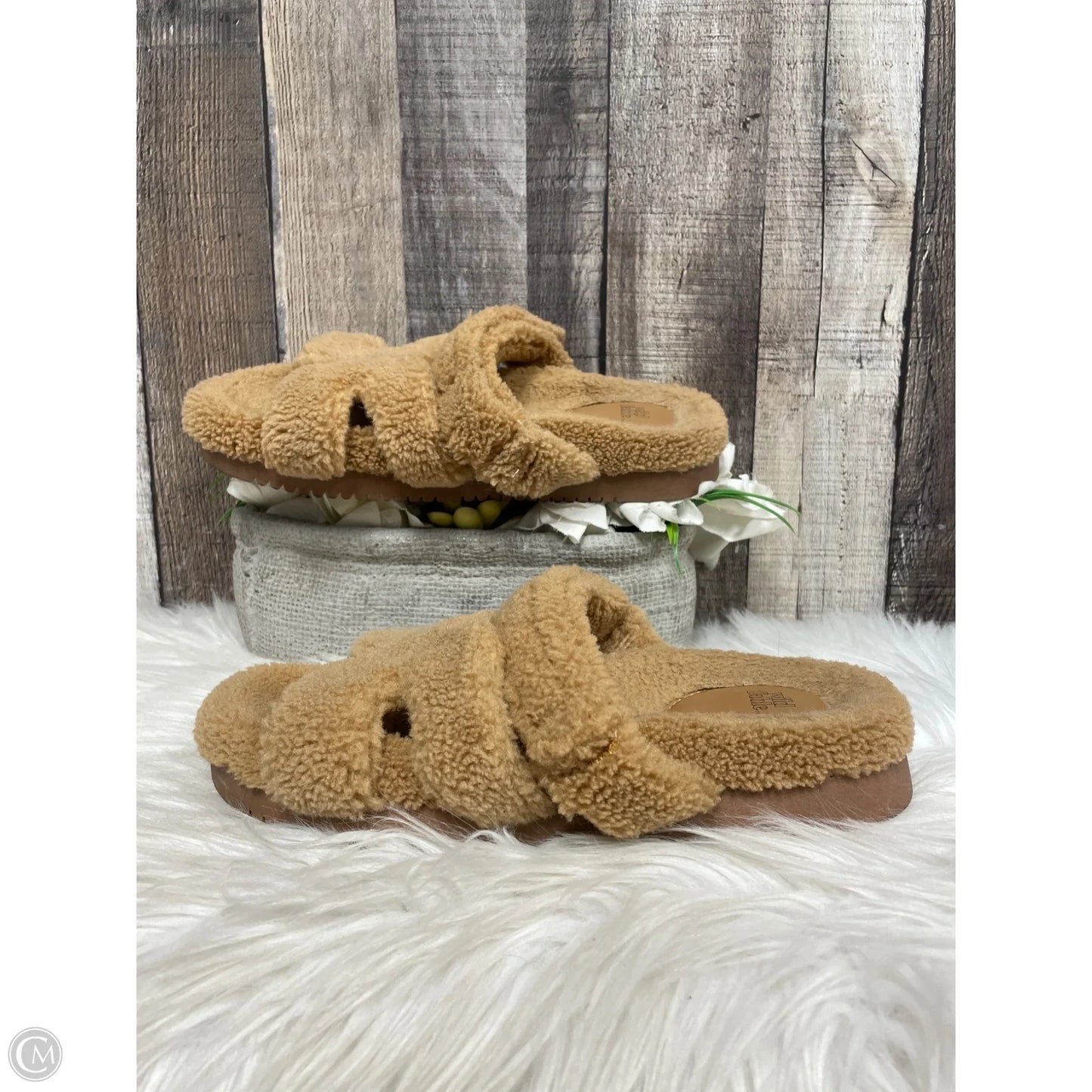 Sandals Flats By Wild Fable In Brown, Size: 7
