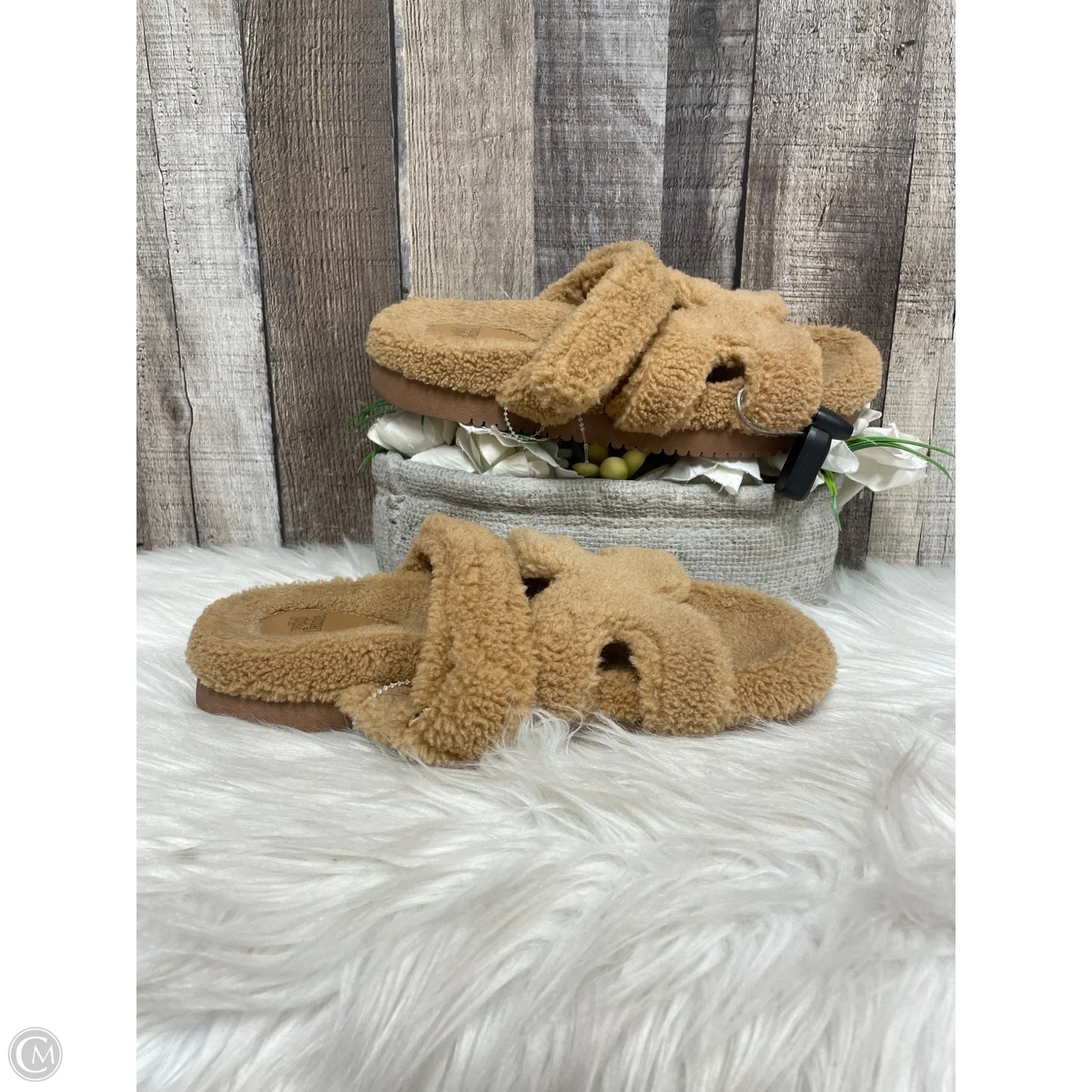 Sandals Flats By Wild Fable In Brown, Size: 7