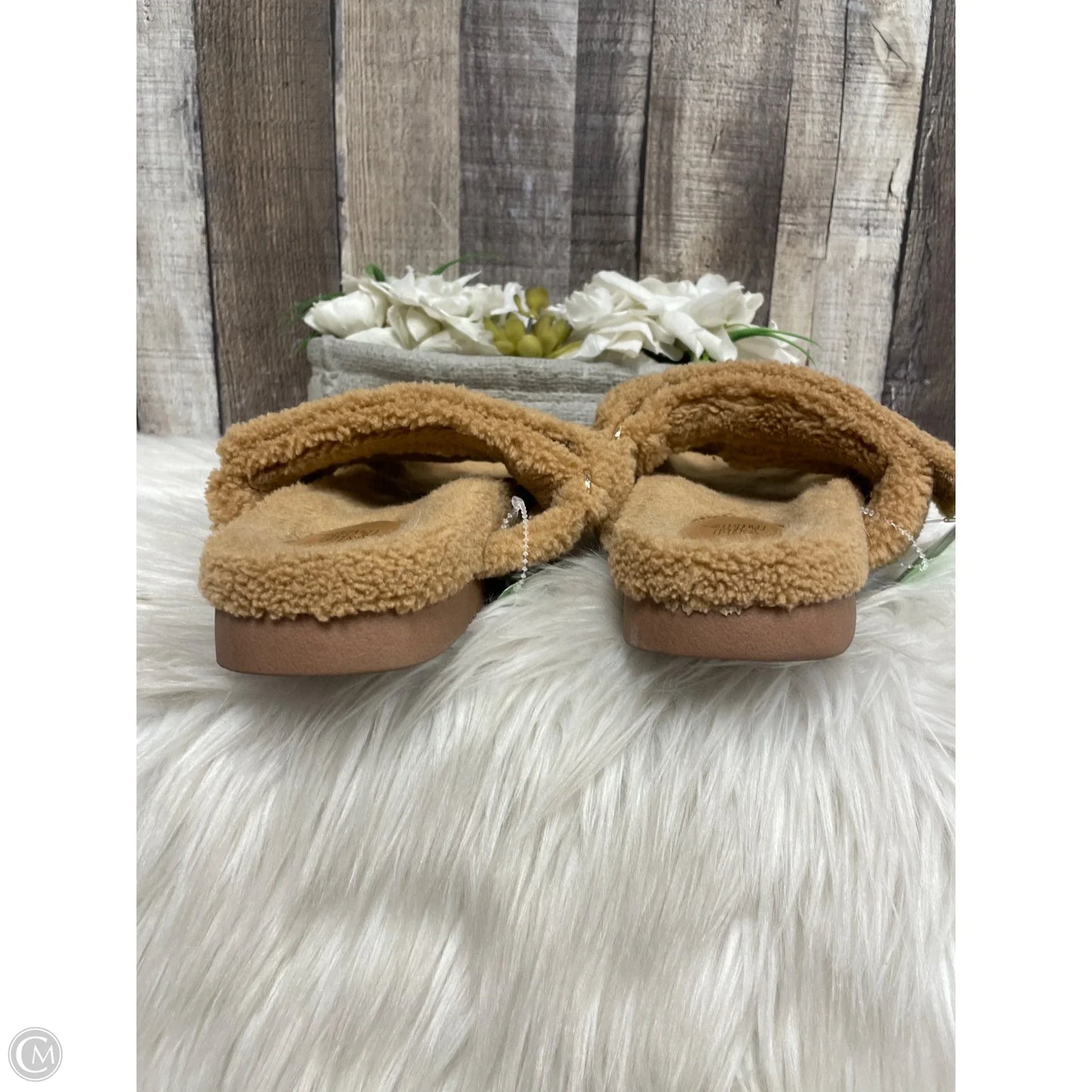 Sandals Flats By Wild Fable In Brown, Size: 7