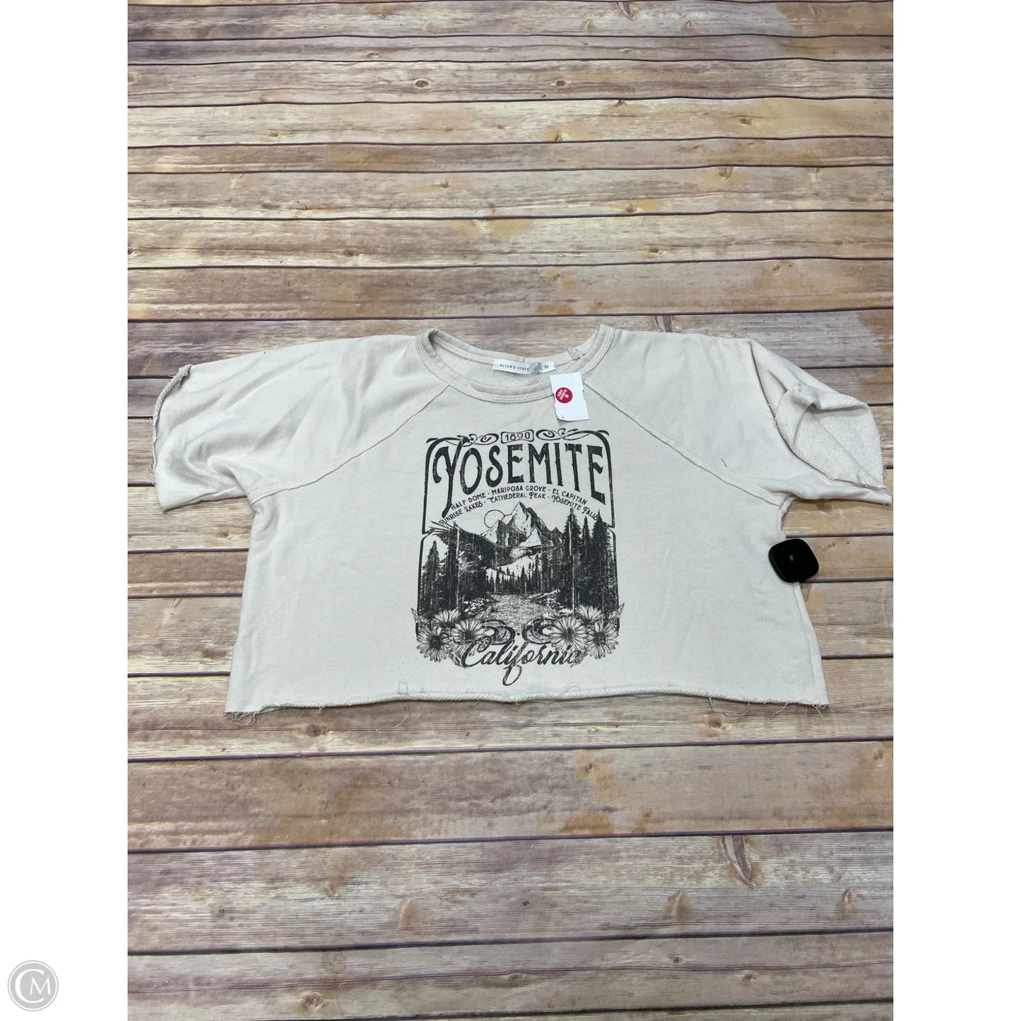 Top Short Sleeve By Altard State In Beige, Size: Xs