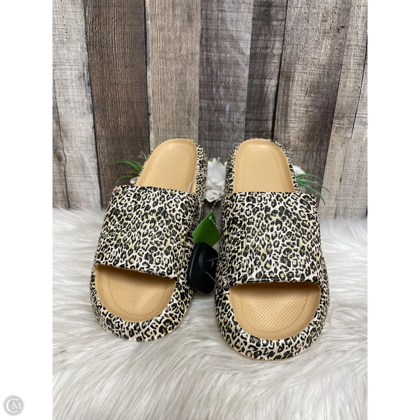 Sandals Flip Flops By Cme In Tan, Size: 10